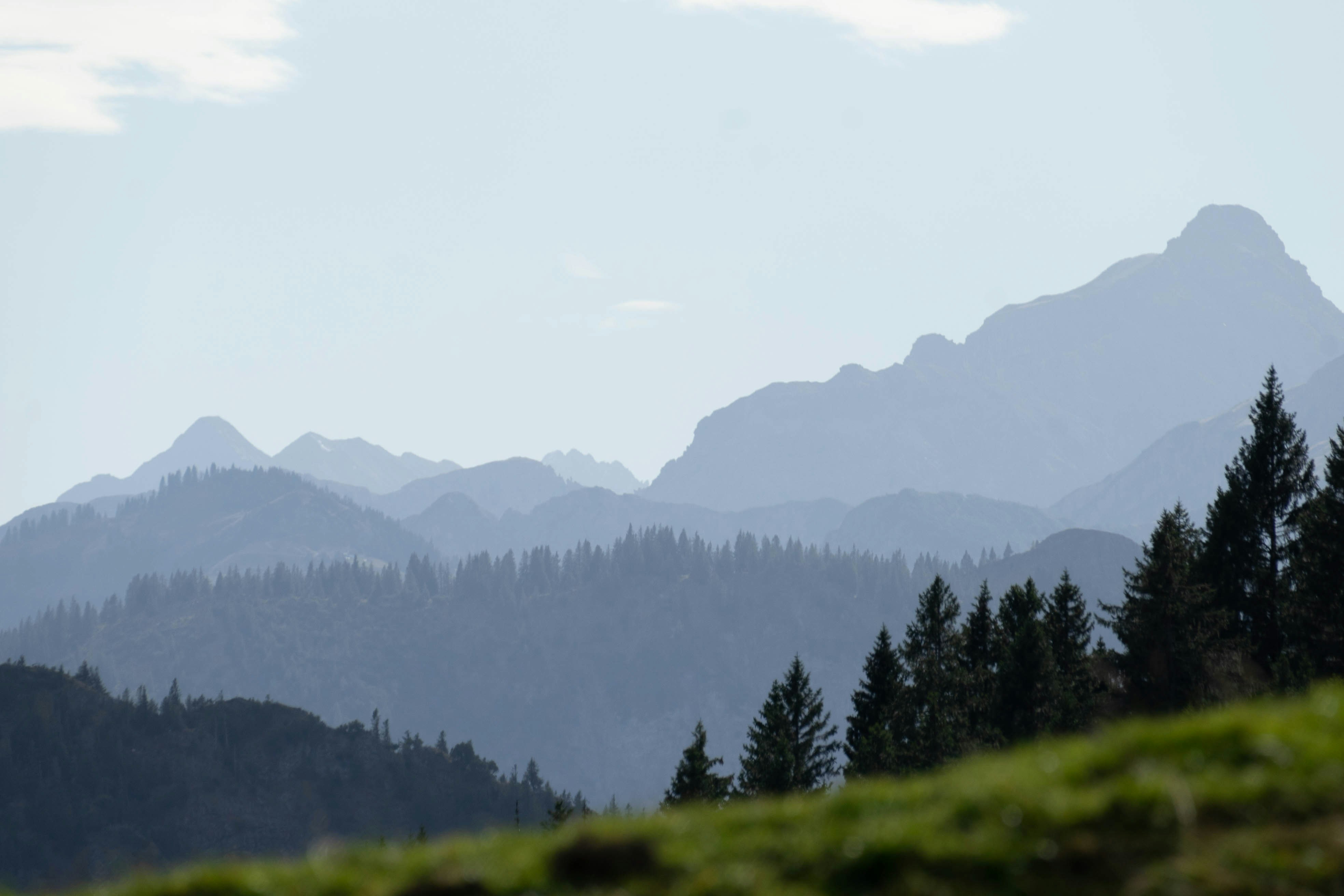 Photo by danielsphotograpic