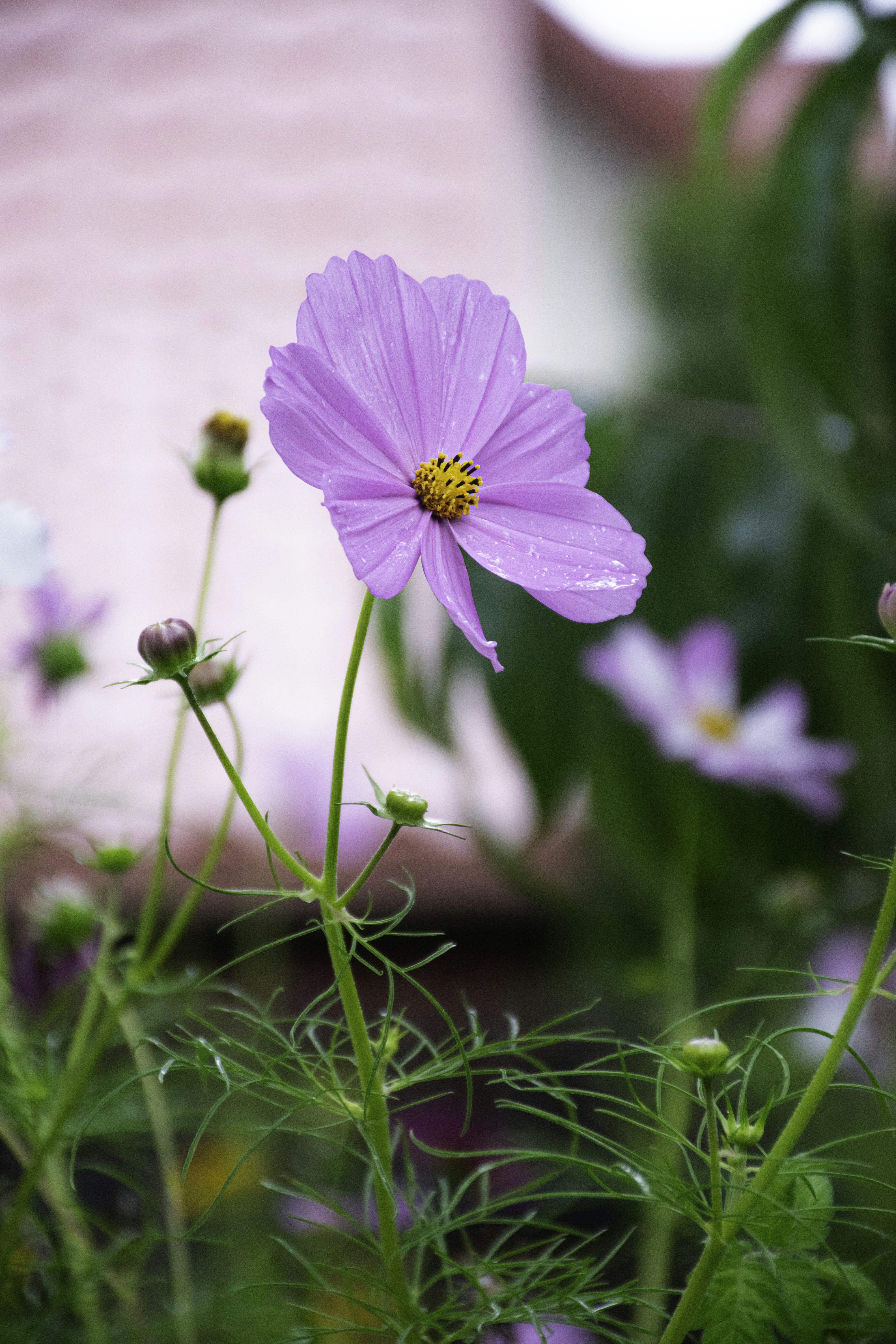 Photo by adam_skrinnikoff