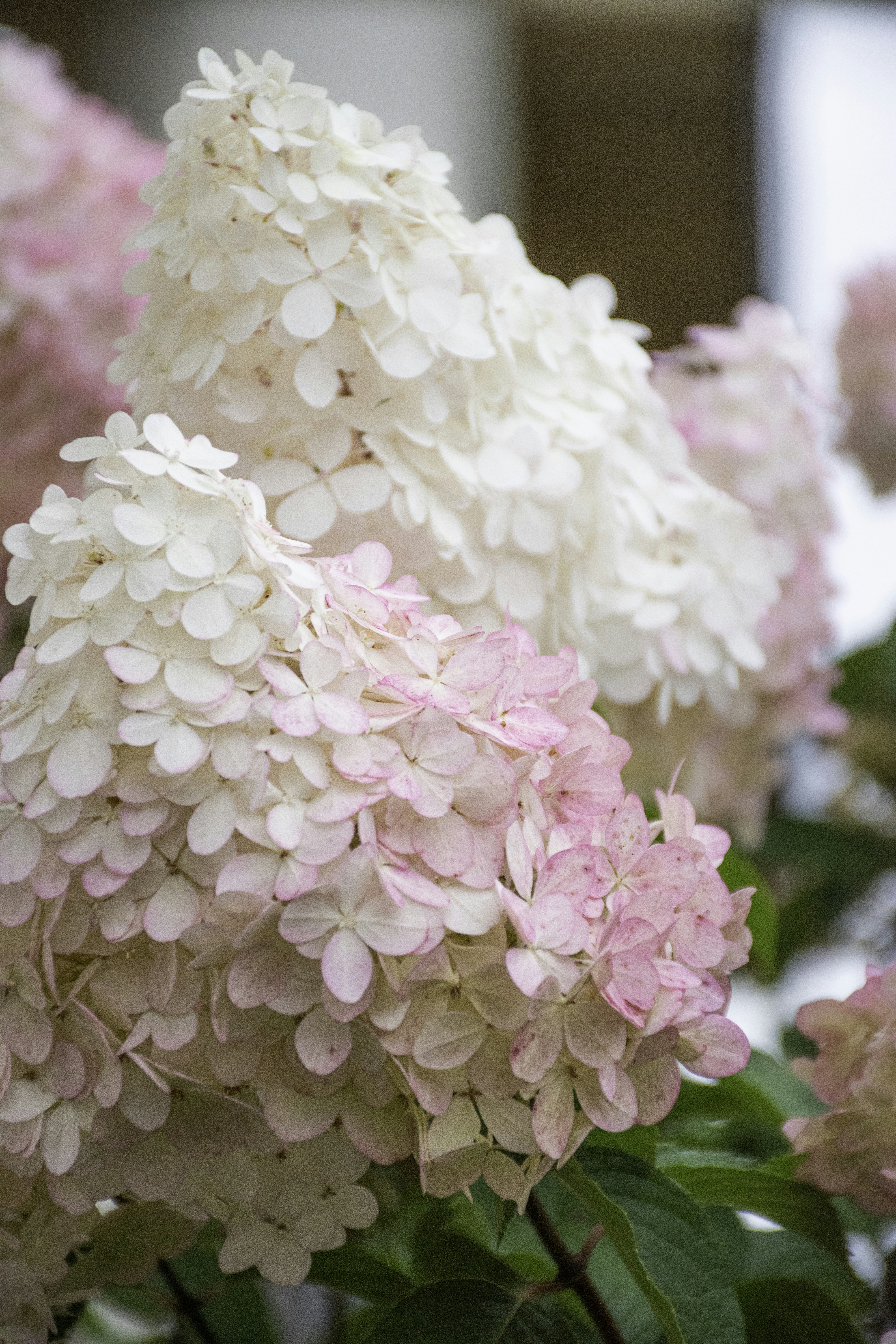 Photo by adam_skrinnikoff