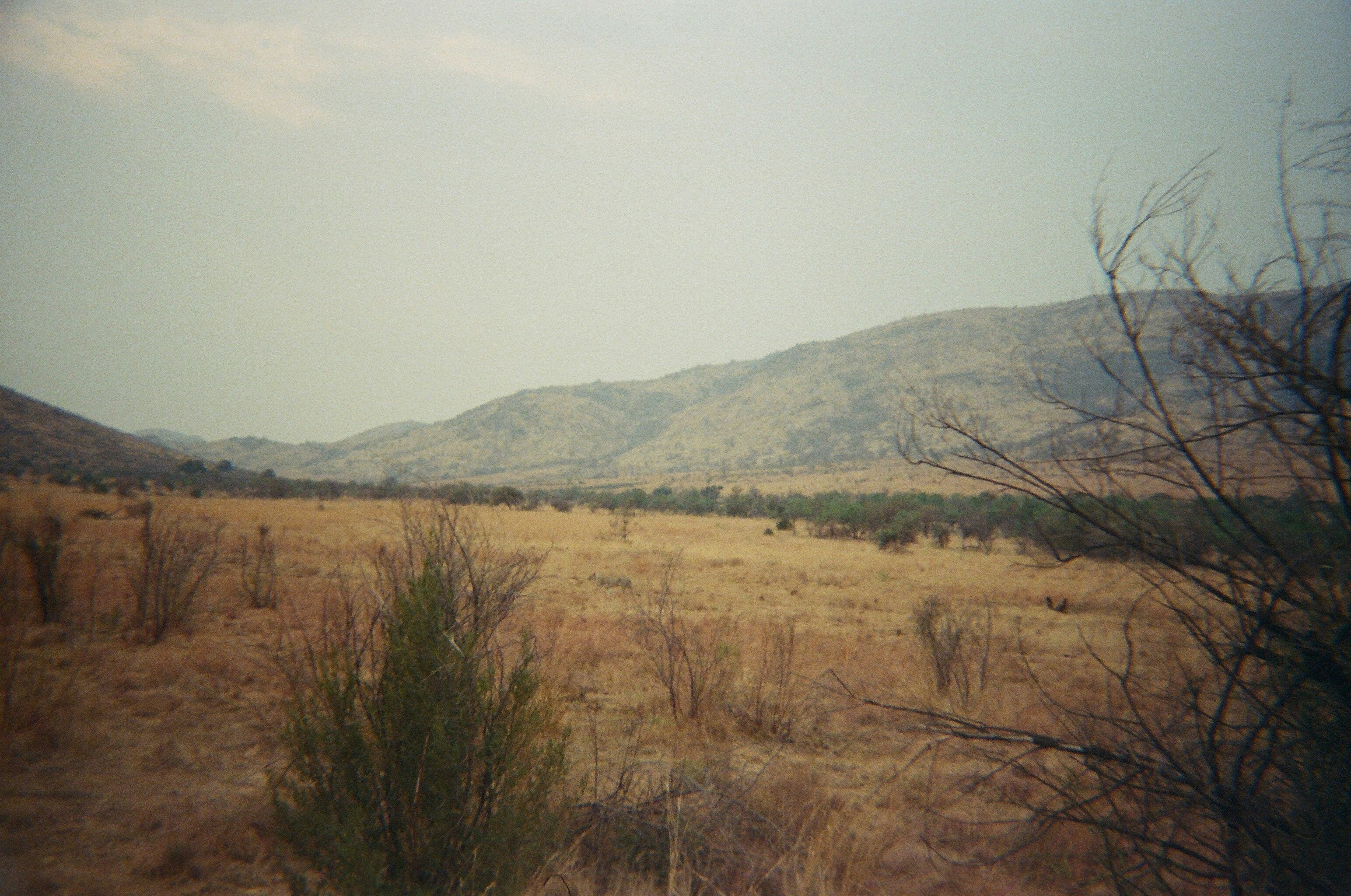 Photo by thesilvafocus