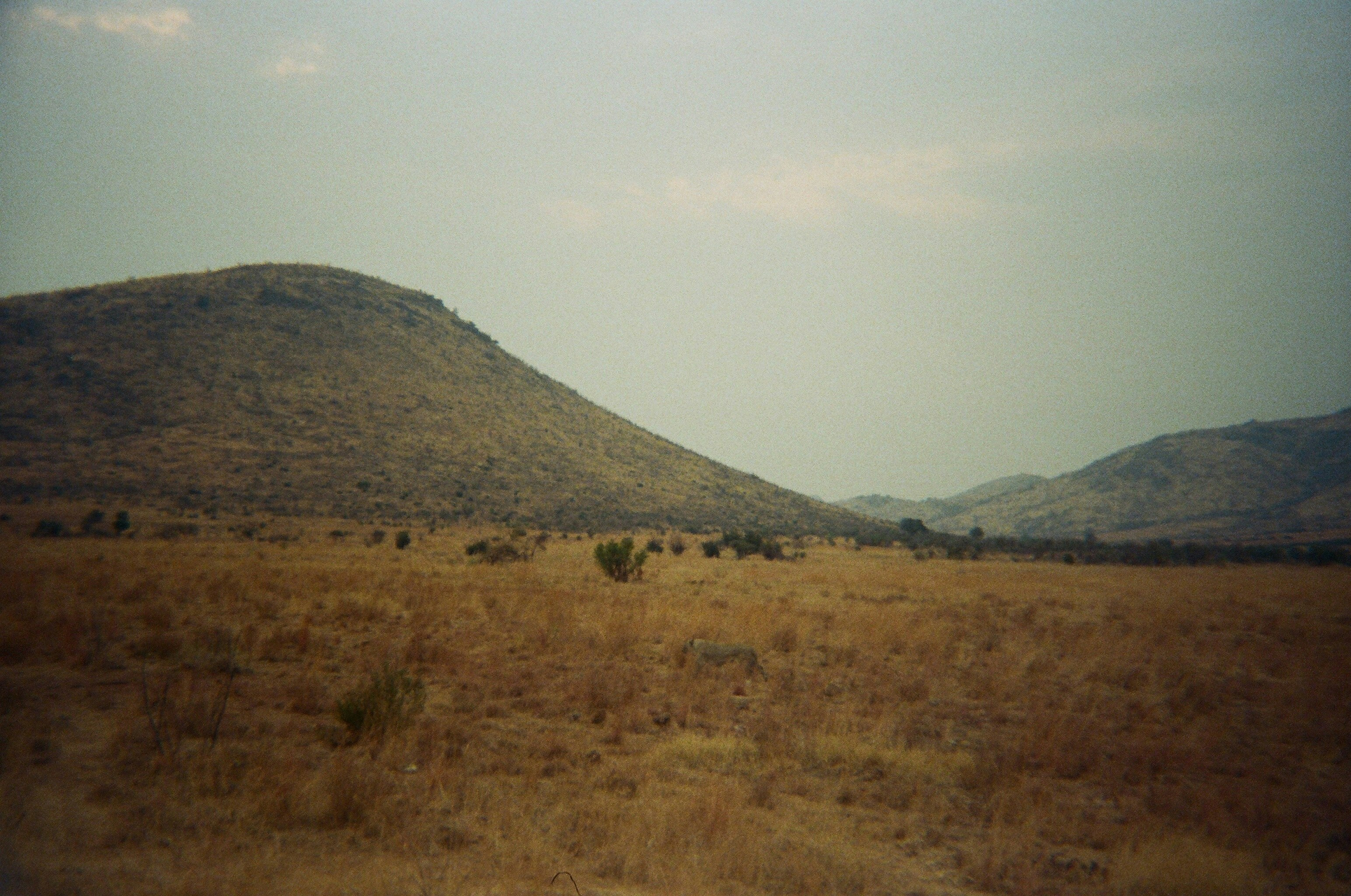 Dry grassland with rolling hills under a hazy sky