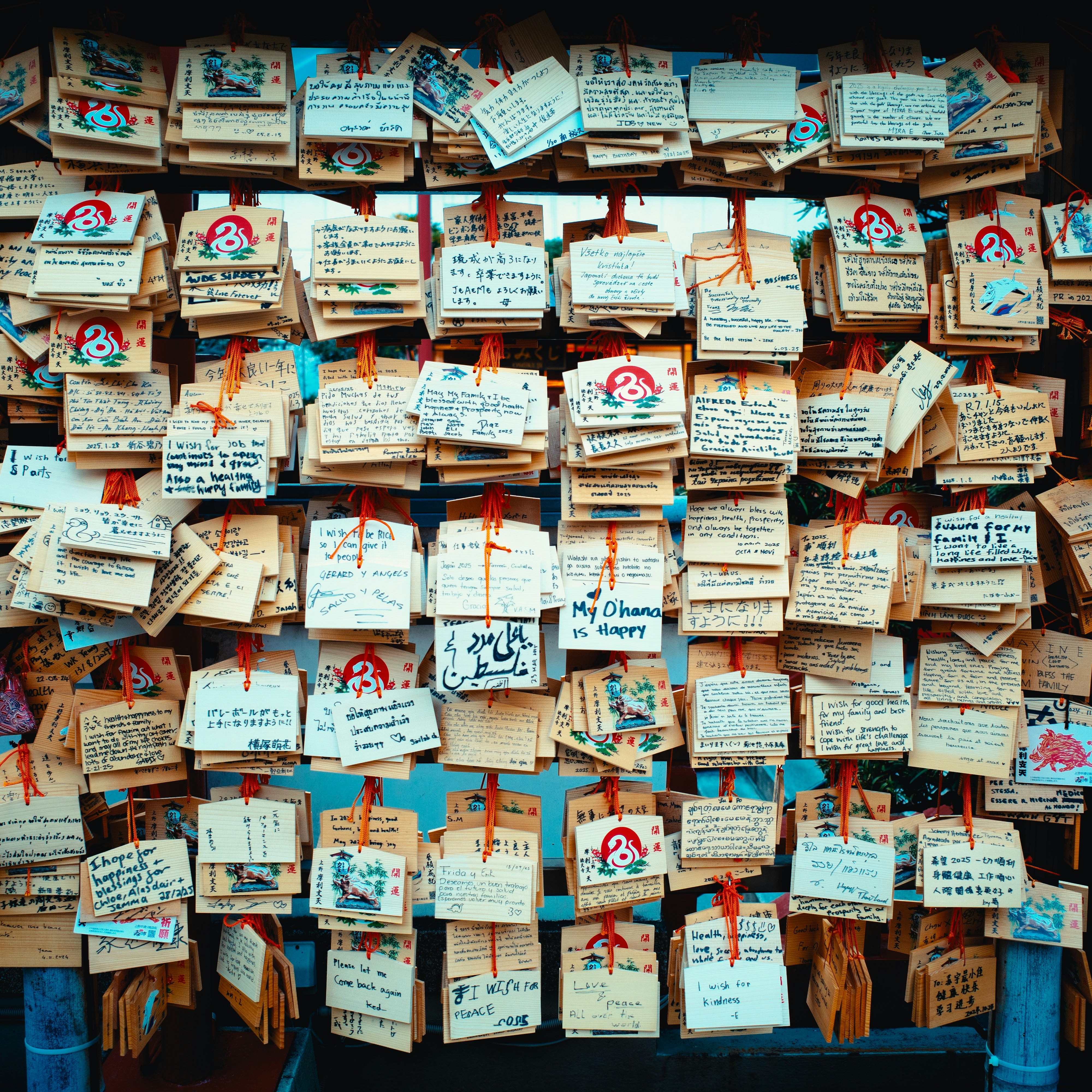 Photo by intrepidfilm