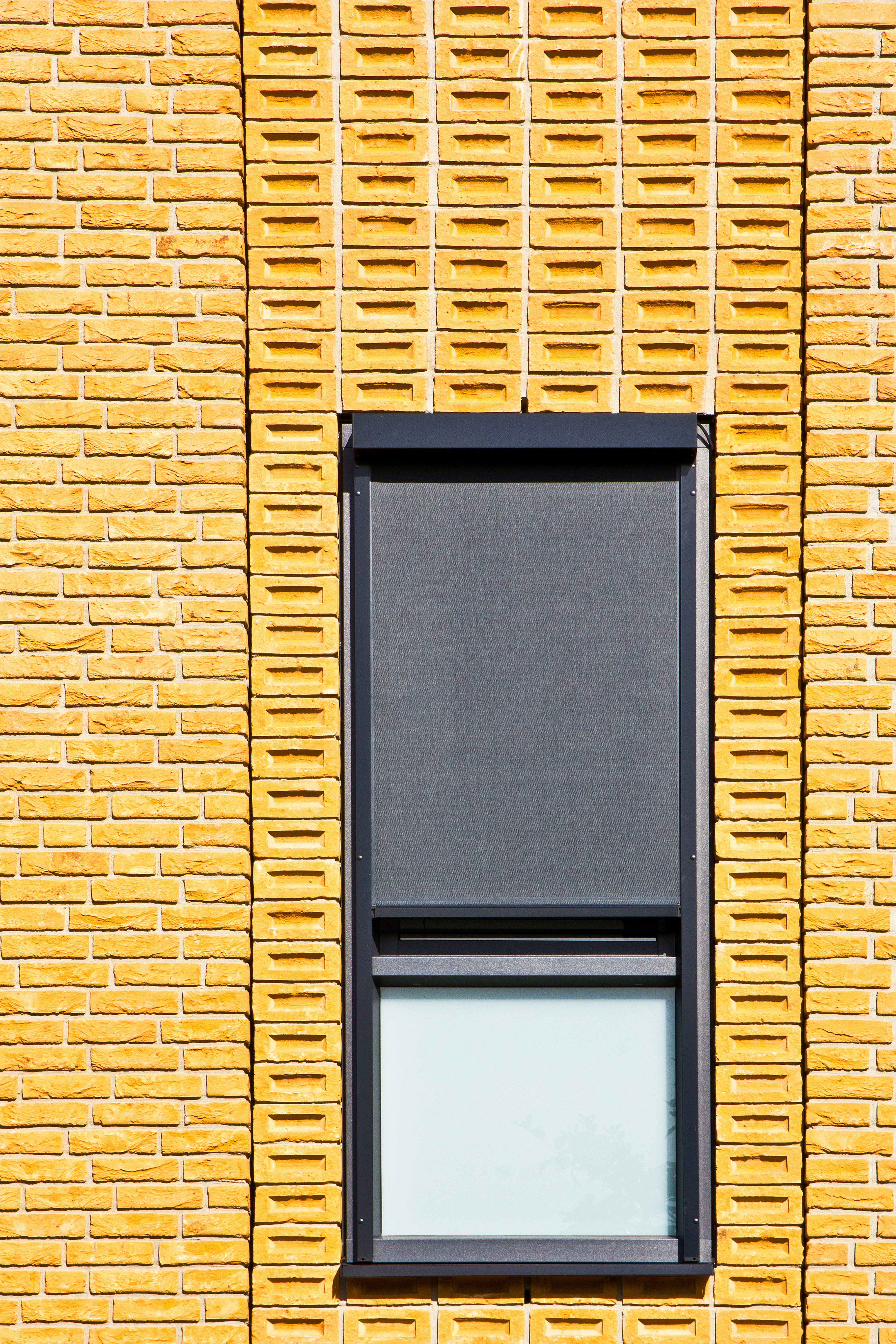 Photo by conniedevries