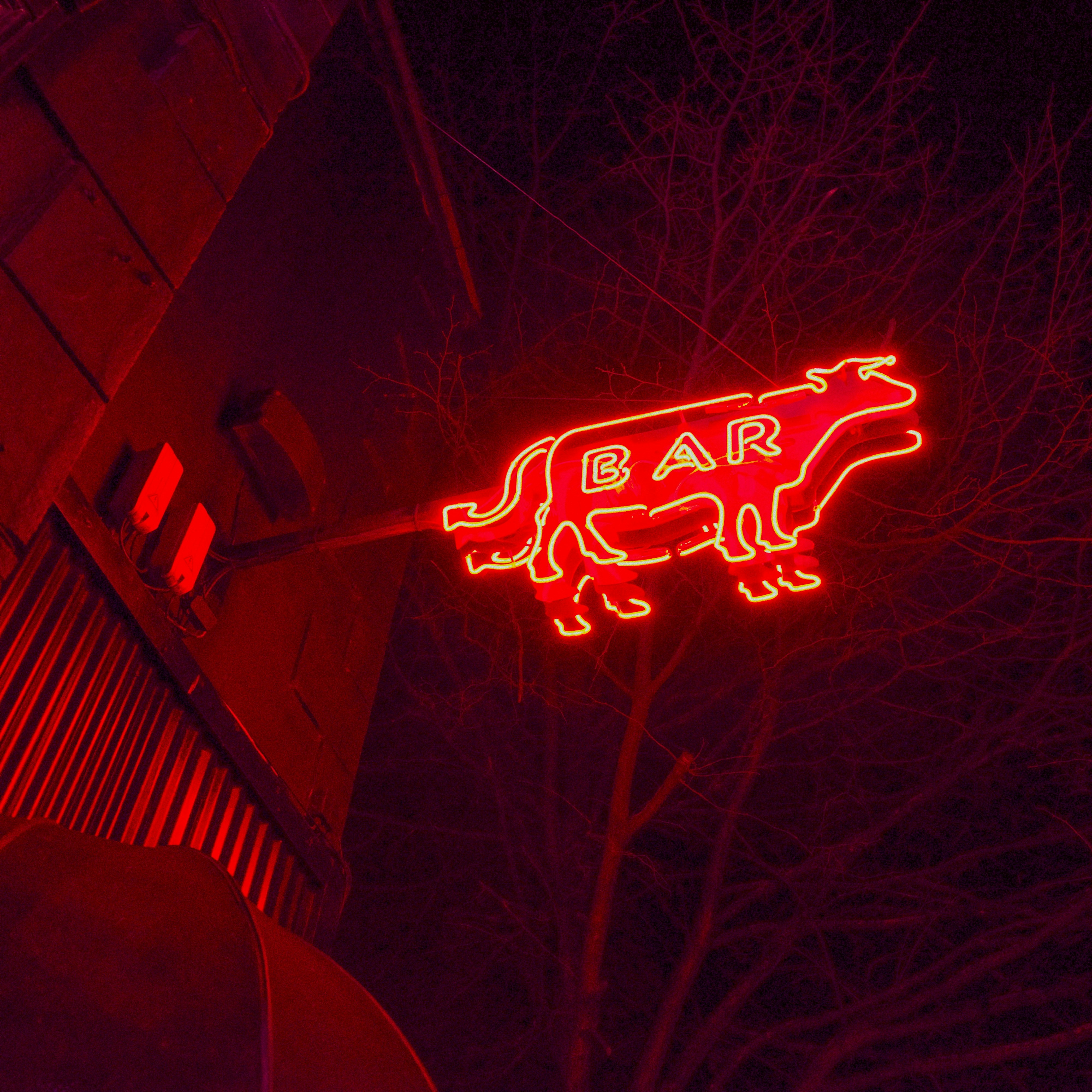 Red neon bull sign for a bar at night