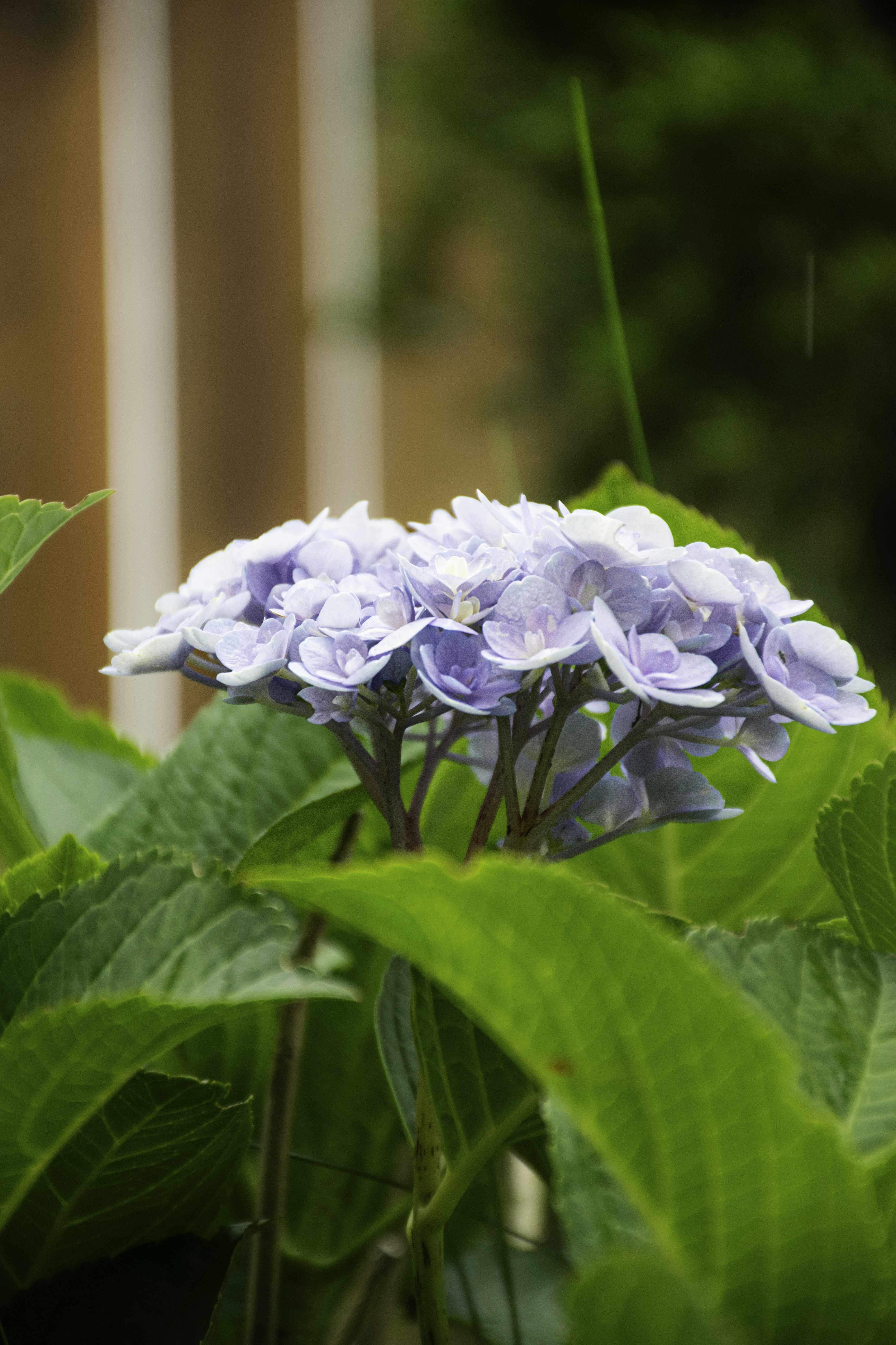 Photo by adam_skrinnikoff