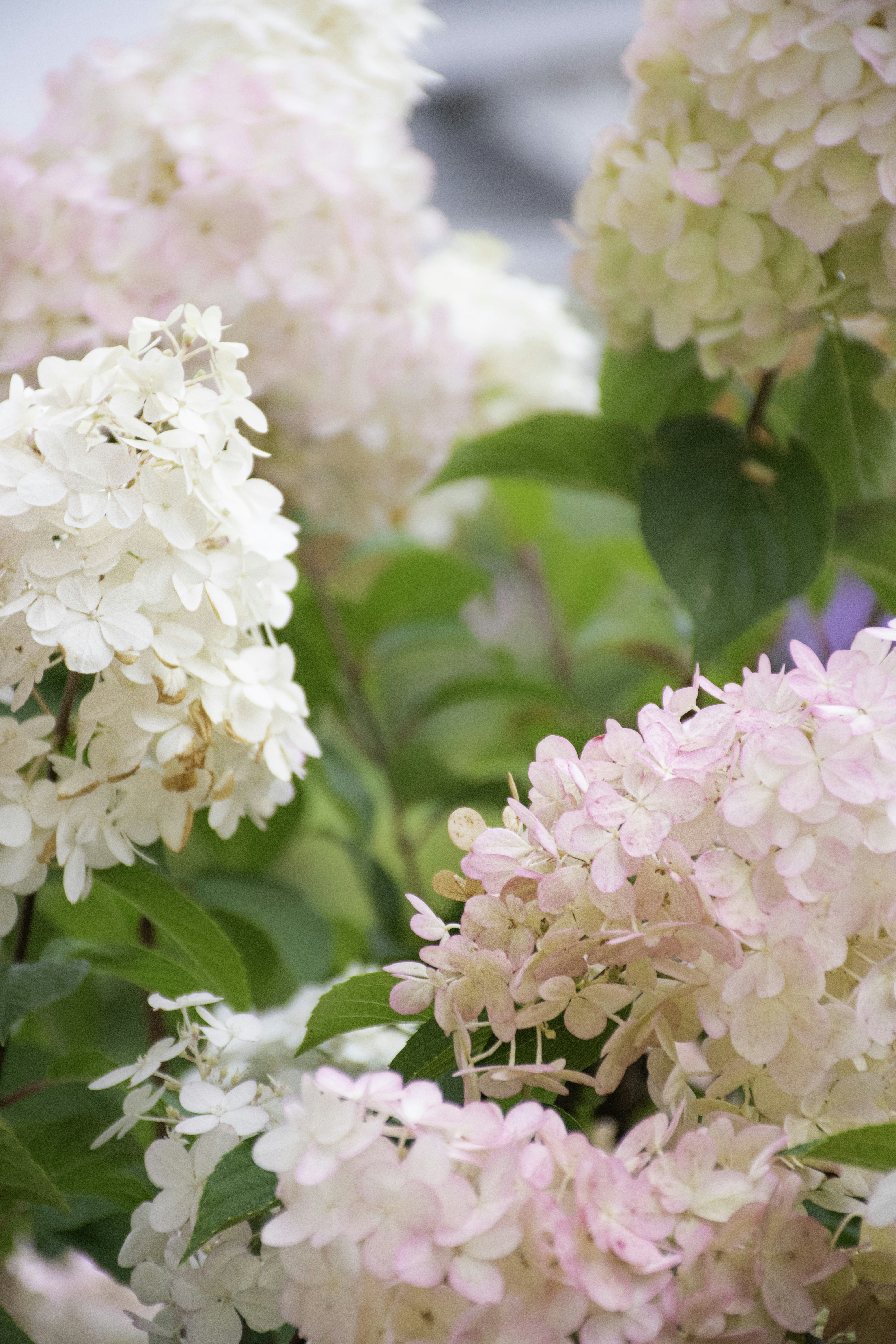 Photo by adam_skrinnikoff