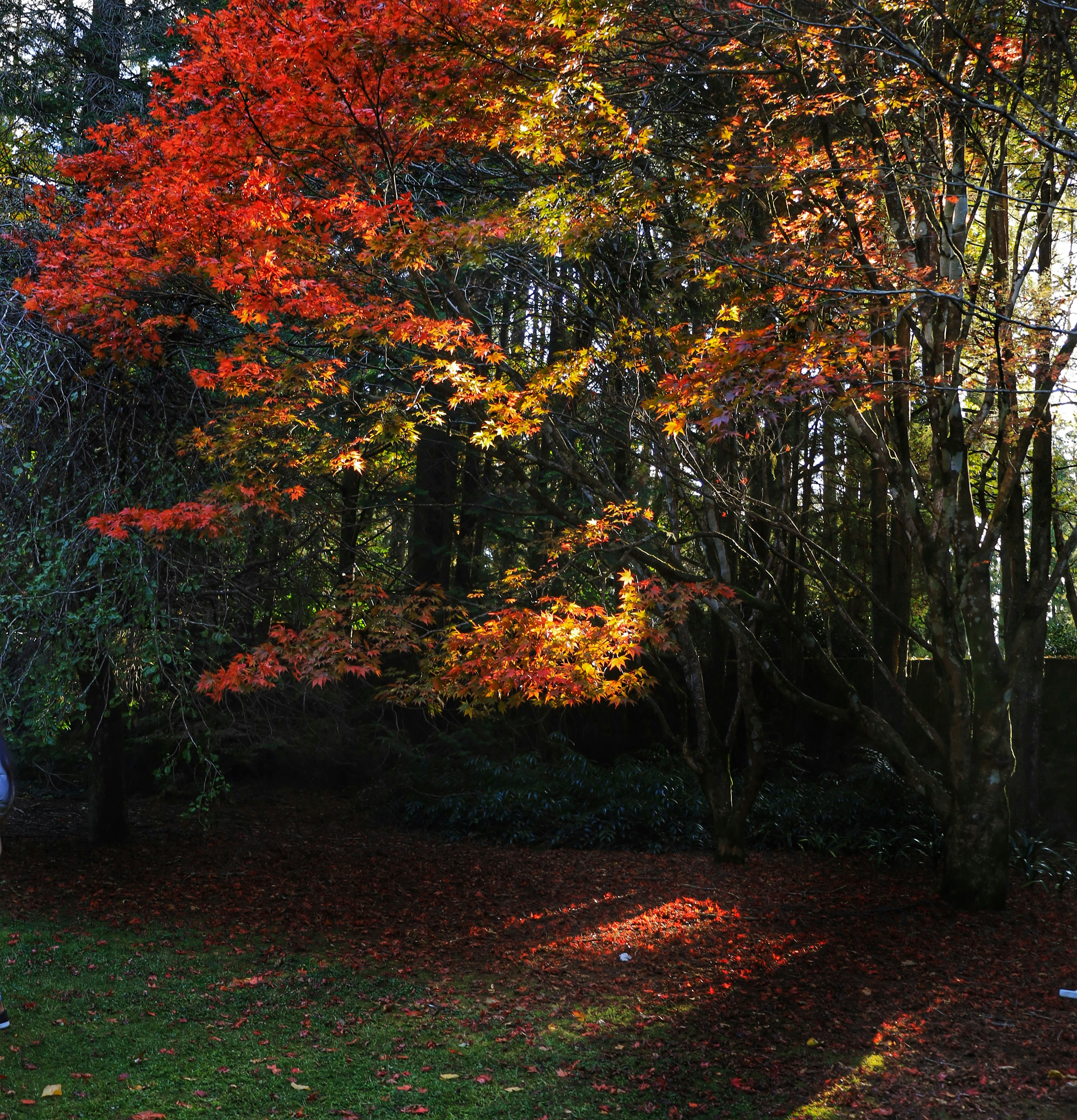 Photo by nisreen_akolawala