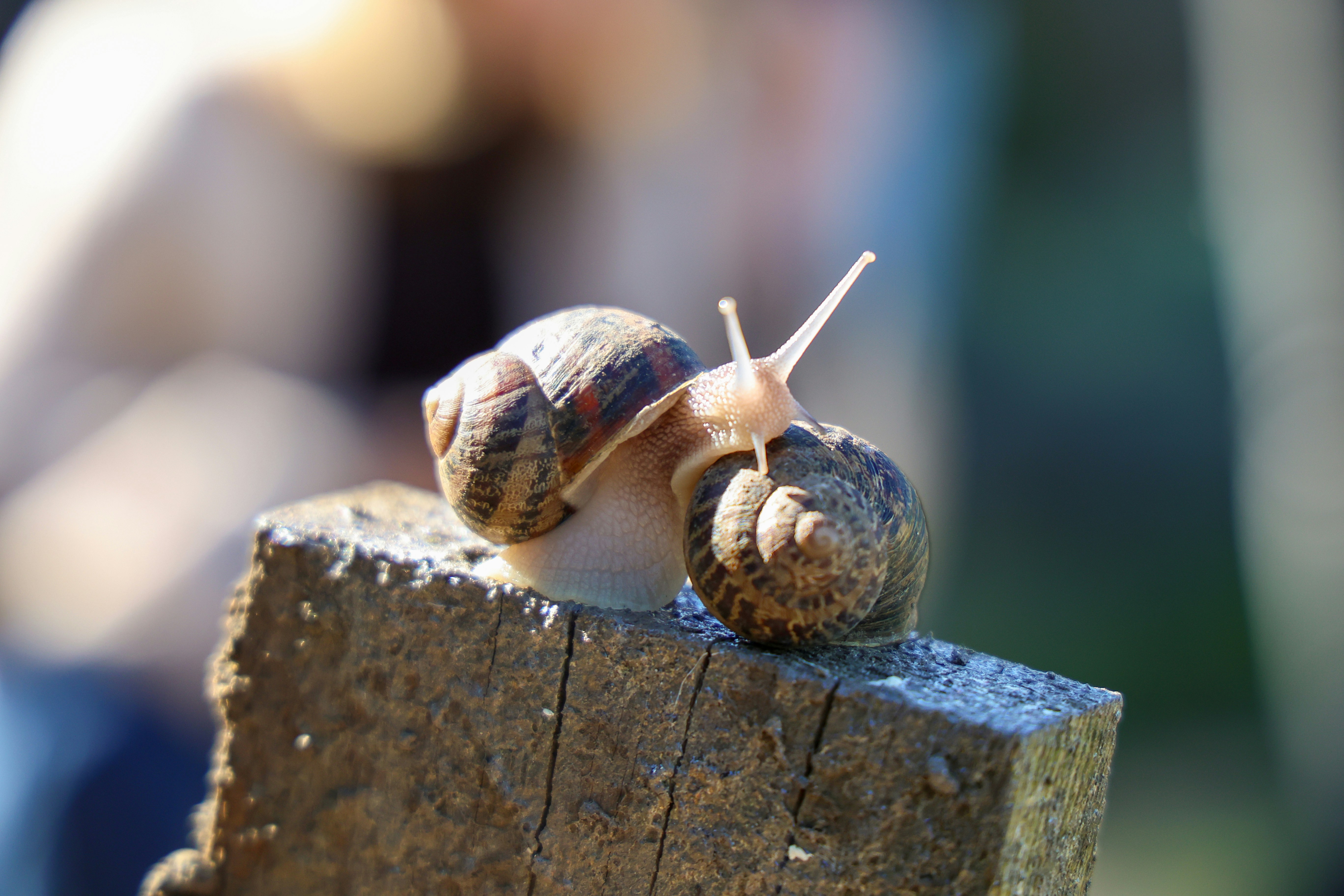 Photo by alexcooper13