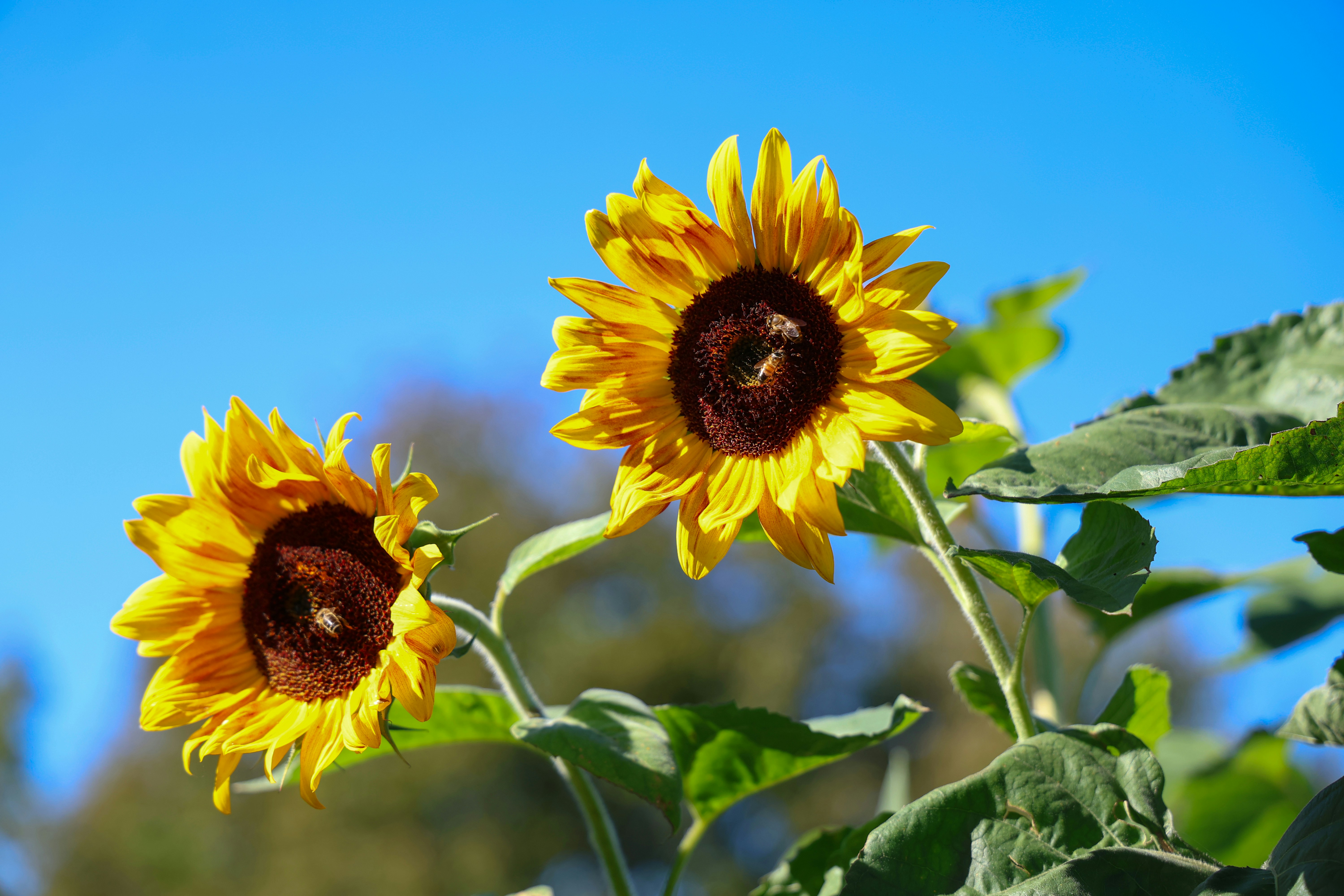 Photo by alexcooper13