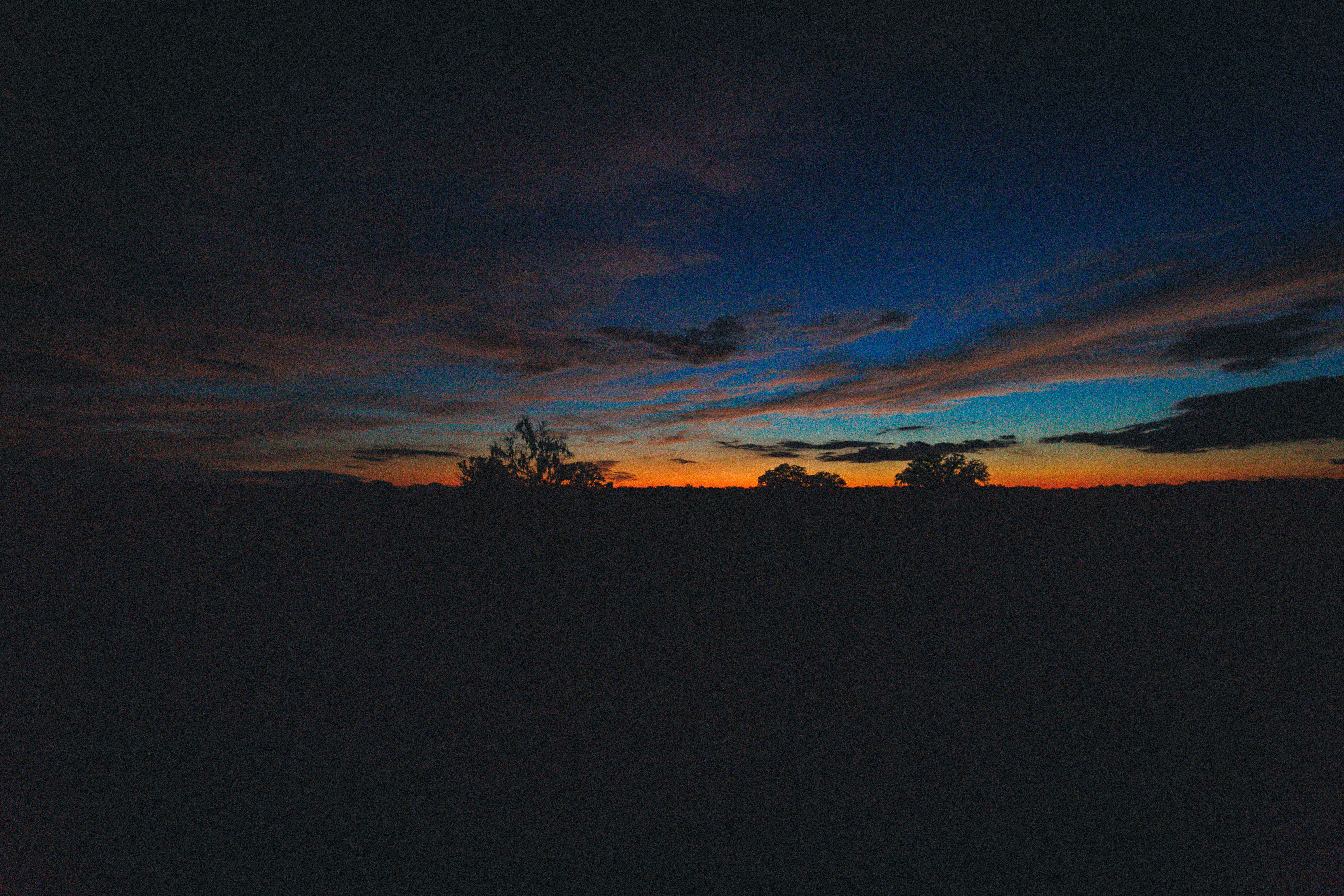 Photo by andrew_creative