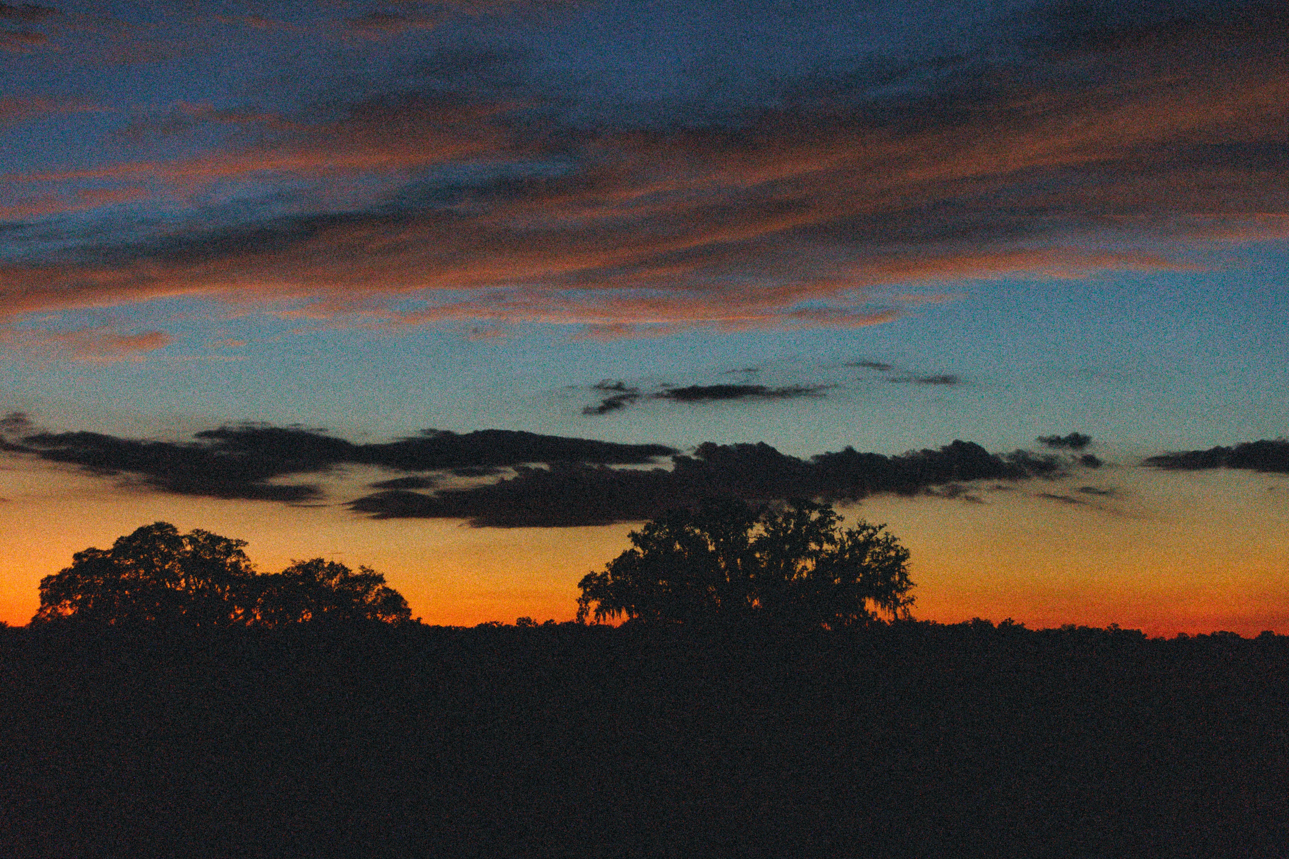 Photo by andrew_creative