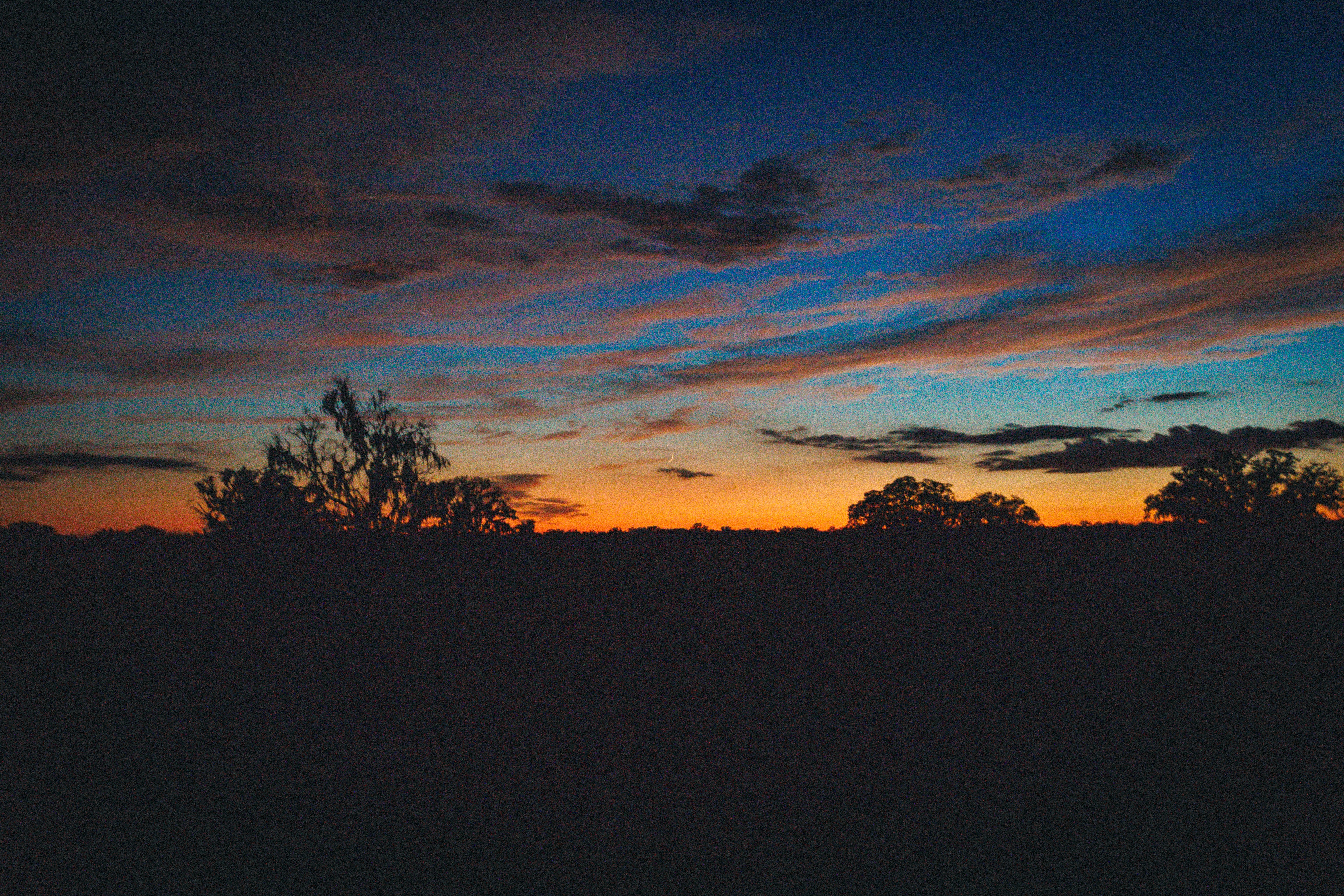 Photo by andrew_creative