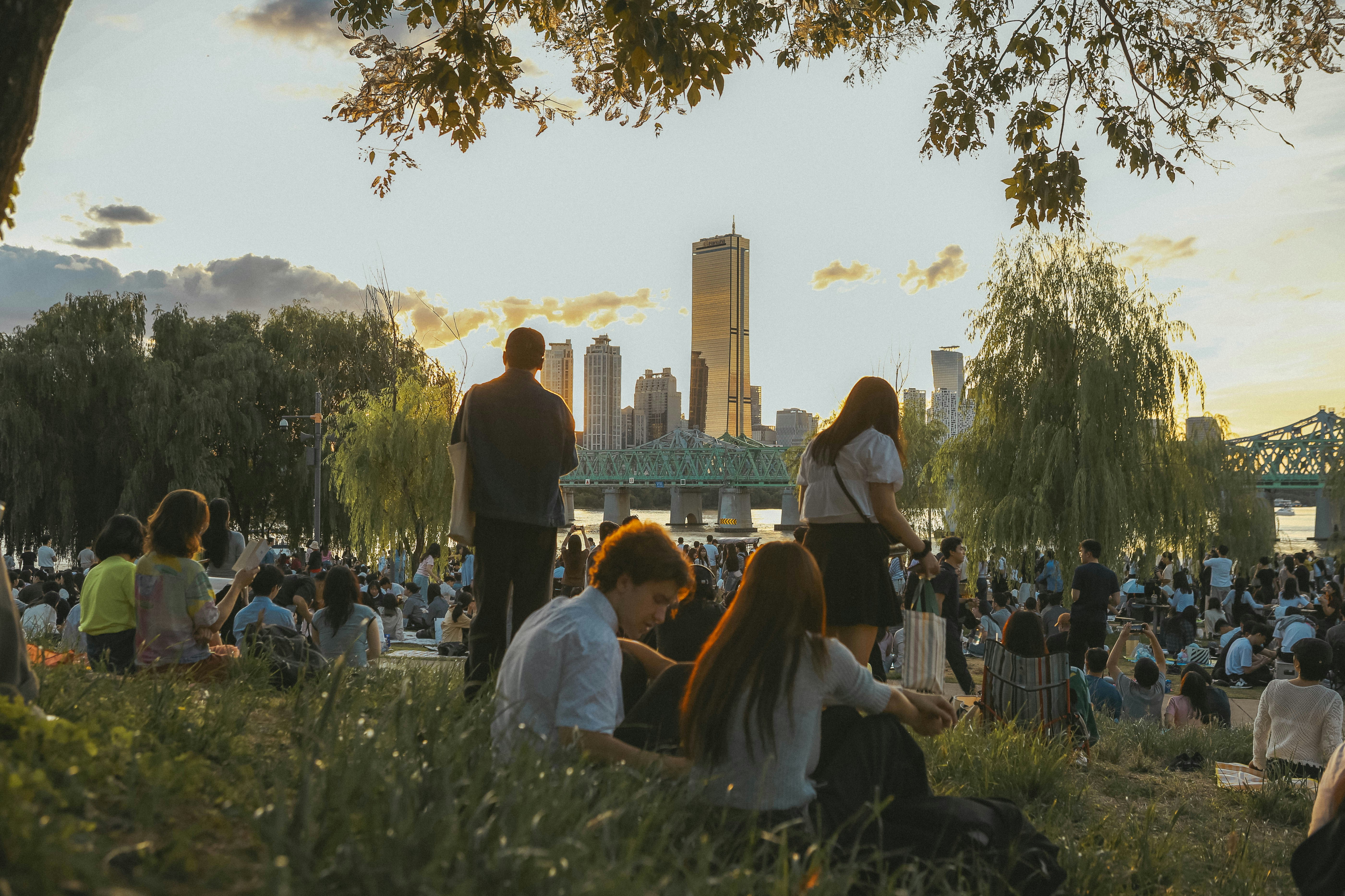 People relax in a park with city skyline at sunset.