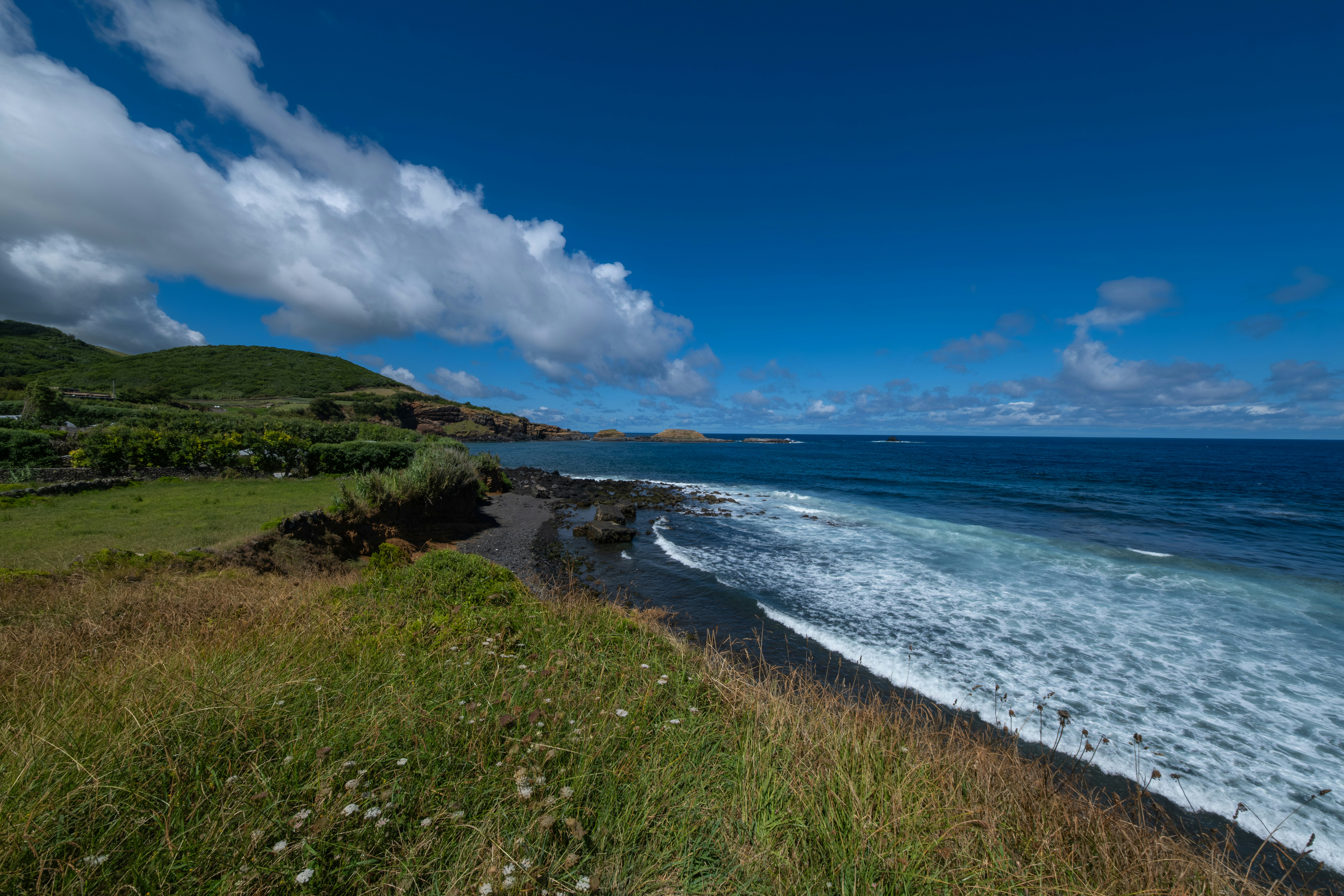 Photo by francesco_ungaro