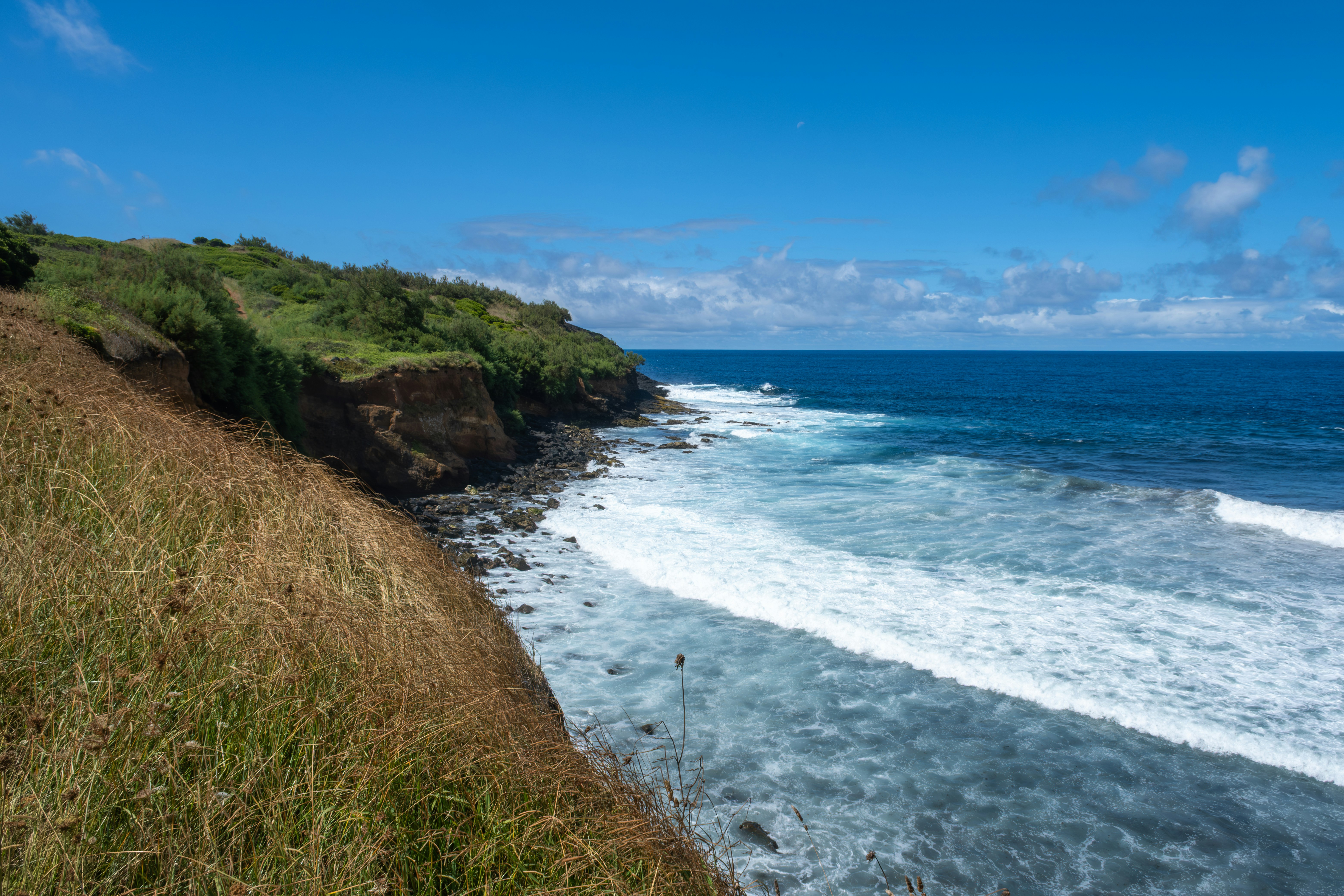 Photo by francesco_ungaro