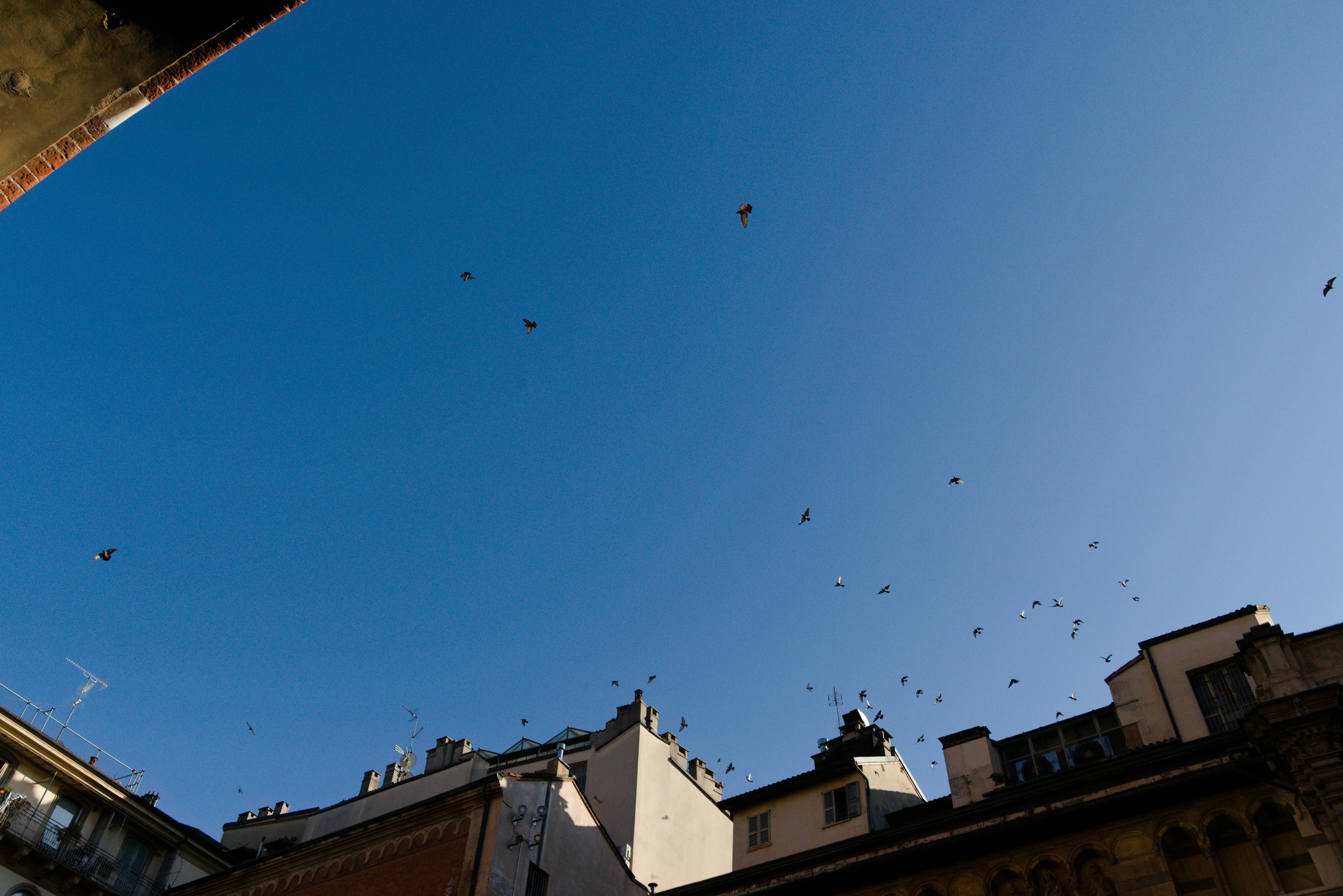 urban migration