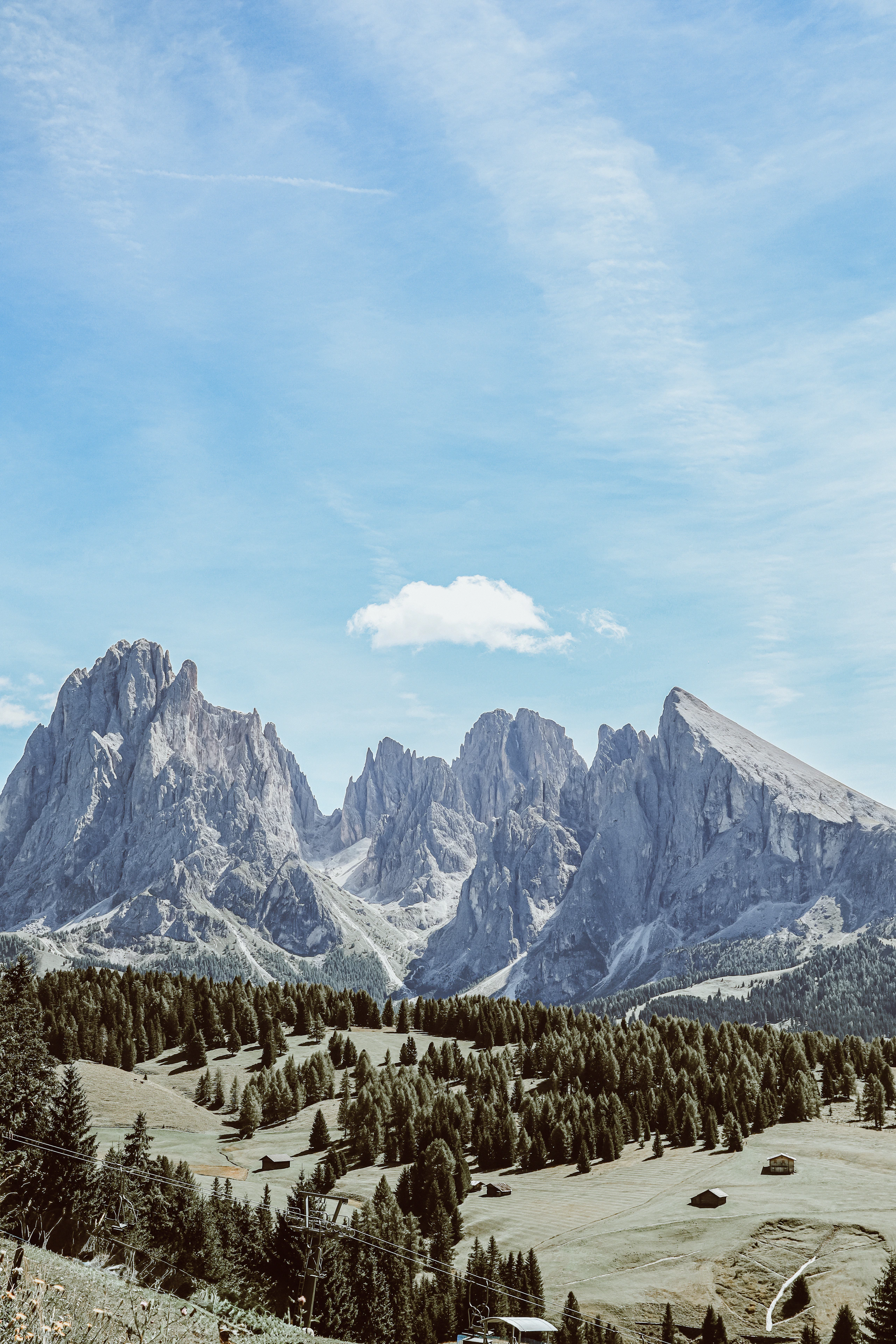 Jagged Dolomite peaks above lush green pine forest in summer