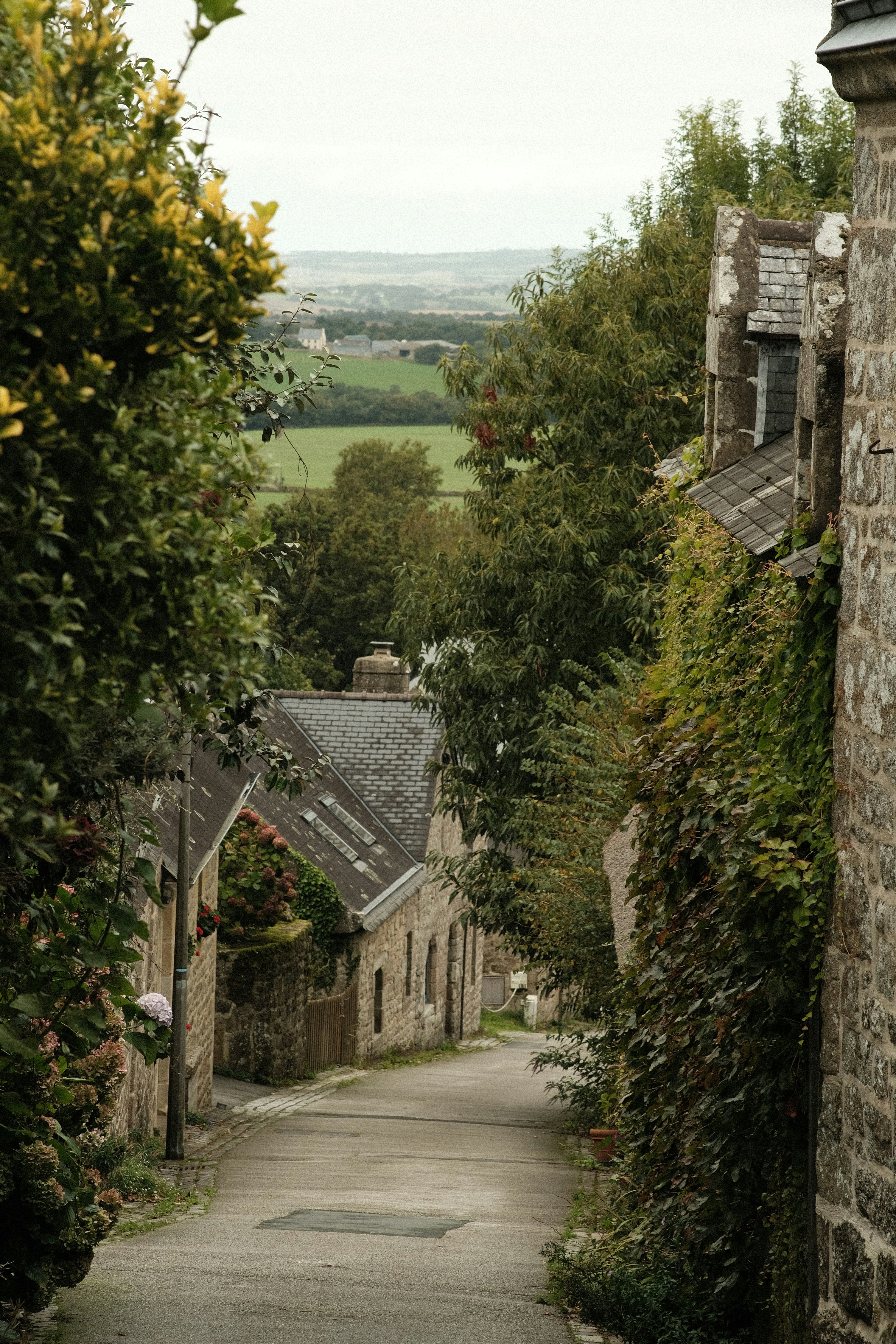 A narrow, tree-lined street in a quaint village.