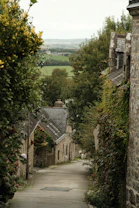 A narrow, tree-lined street in a quaint village.