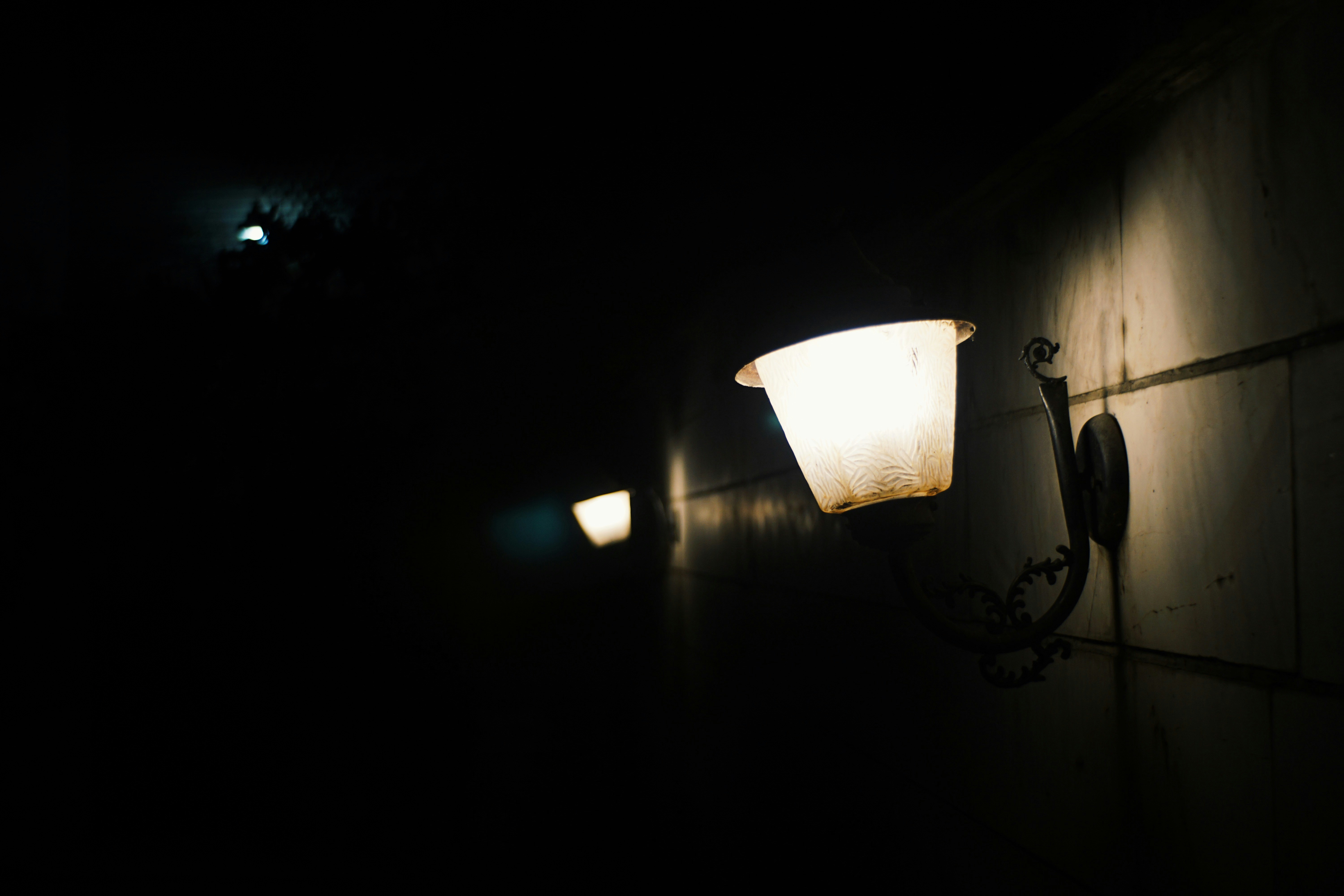 Photo by mdrezajalali