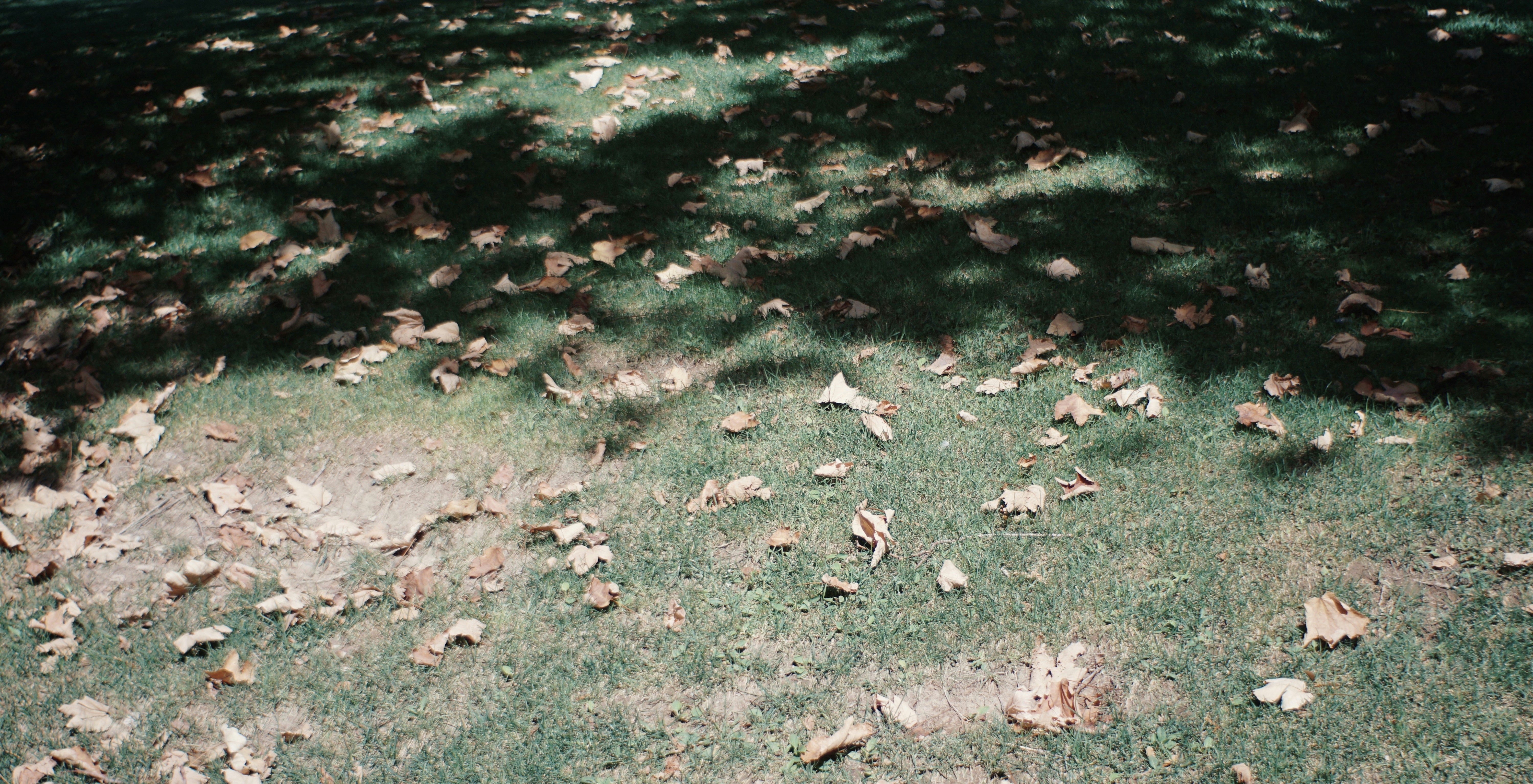 Photo by mdrezajalali