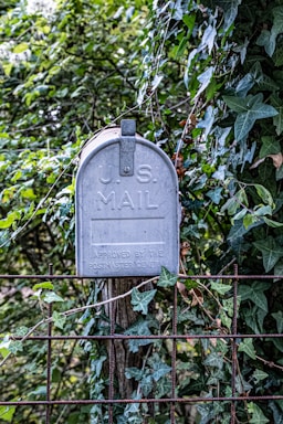 Us mailbox attached to a wooden post with ivy.