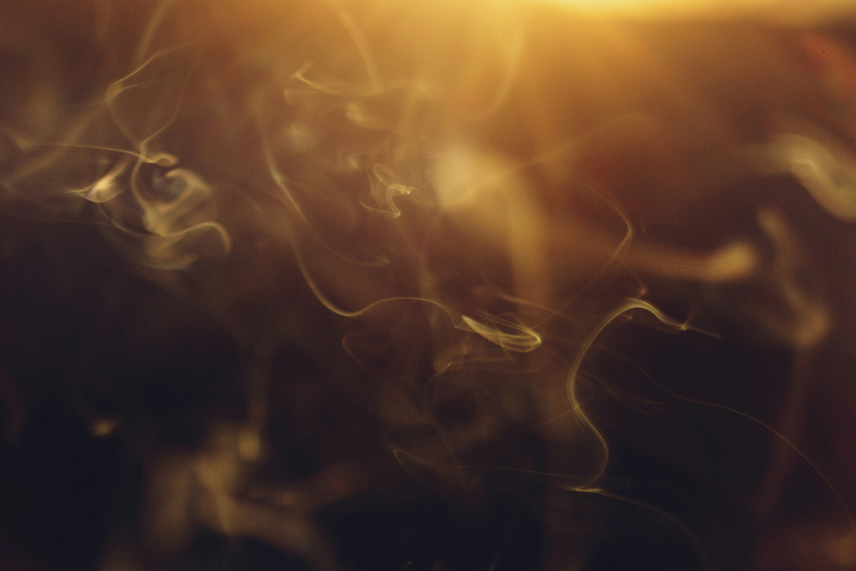 Photo by cherstve_pechivo