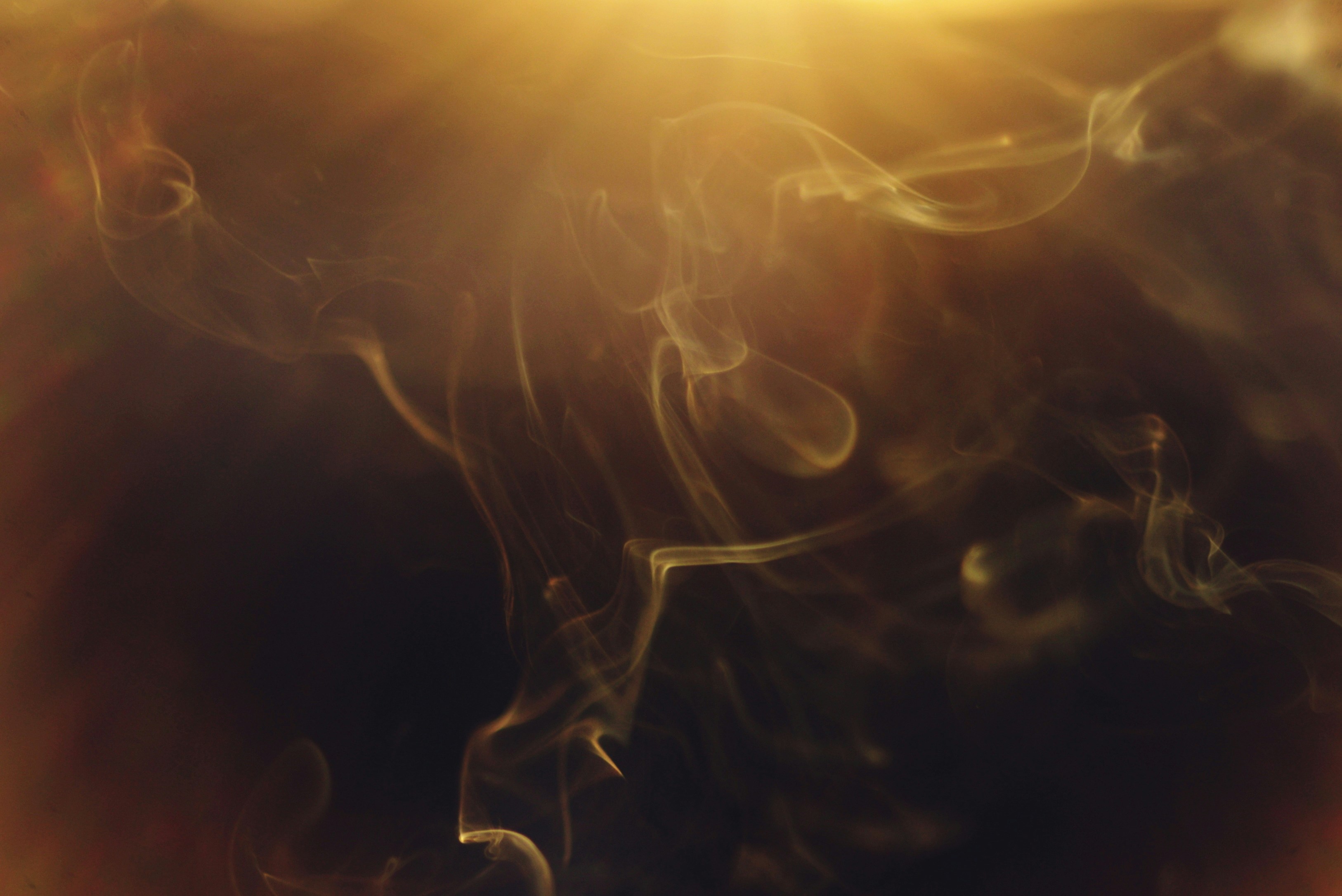 Photo by cherstve_pechivo