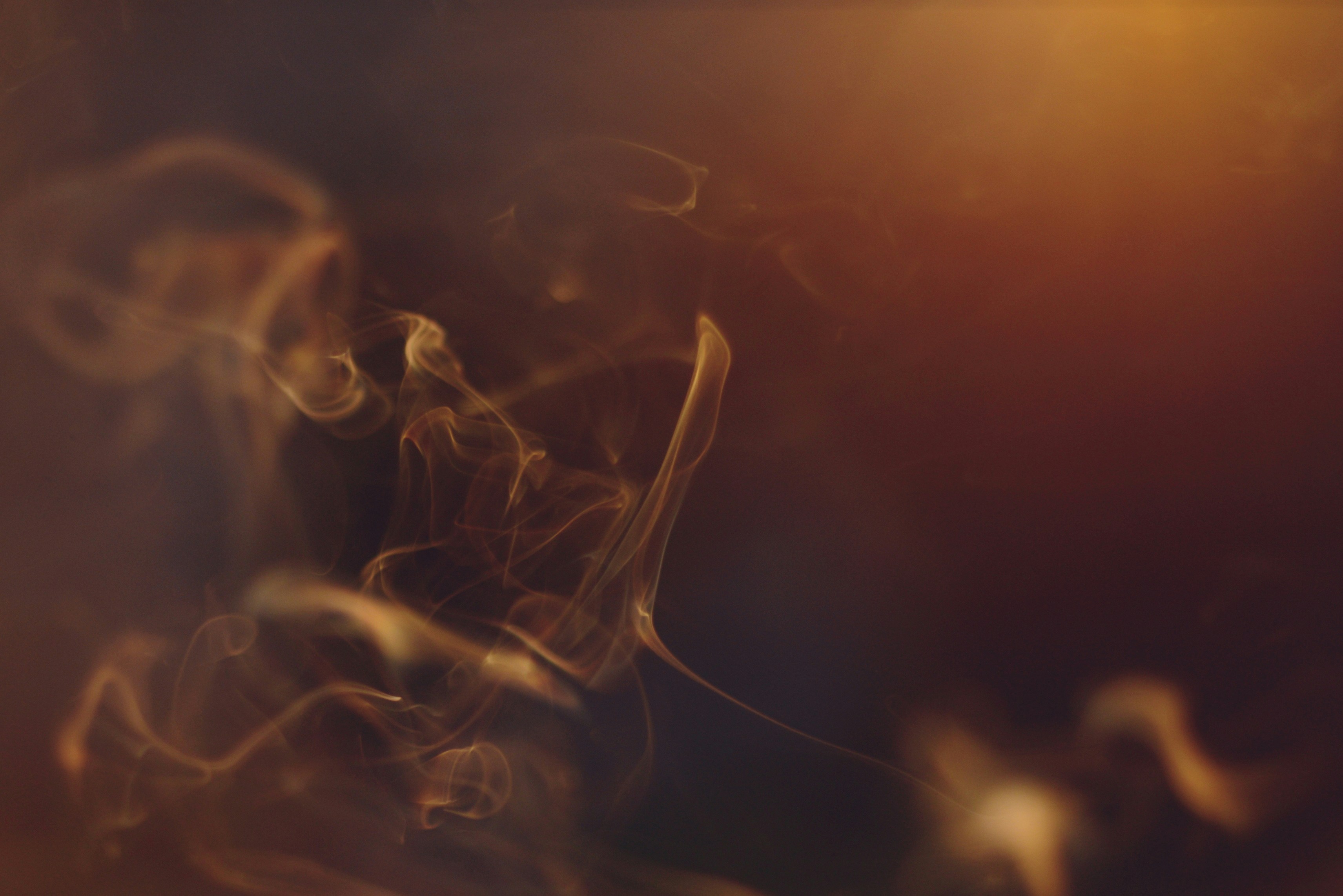 Photo by cherstve_pechivo