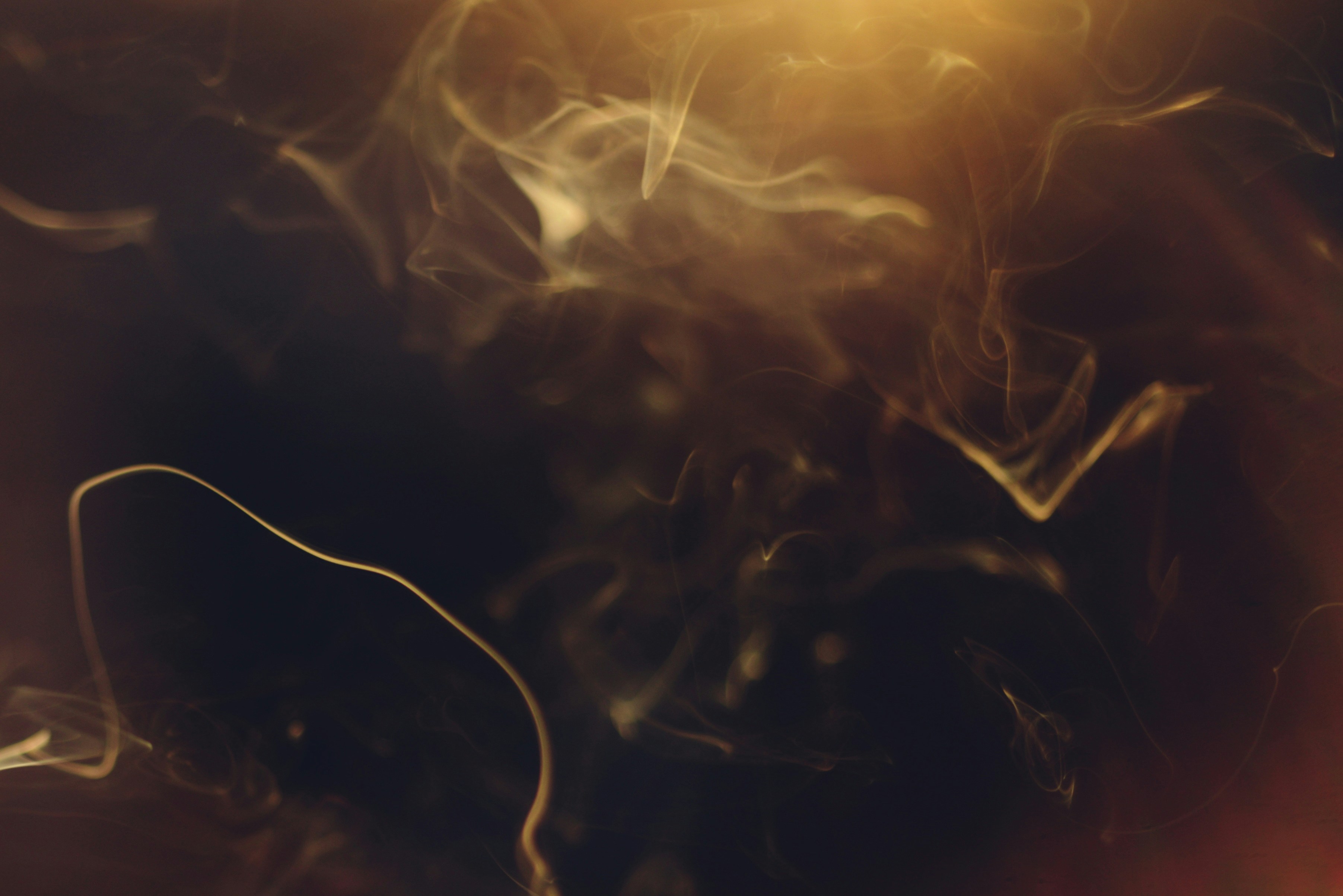 Photo by cherstve_pechivo