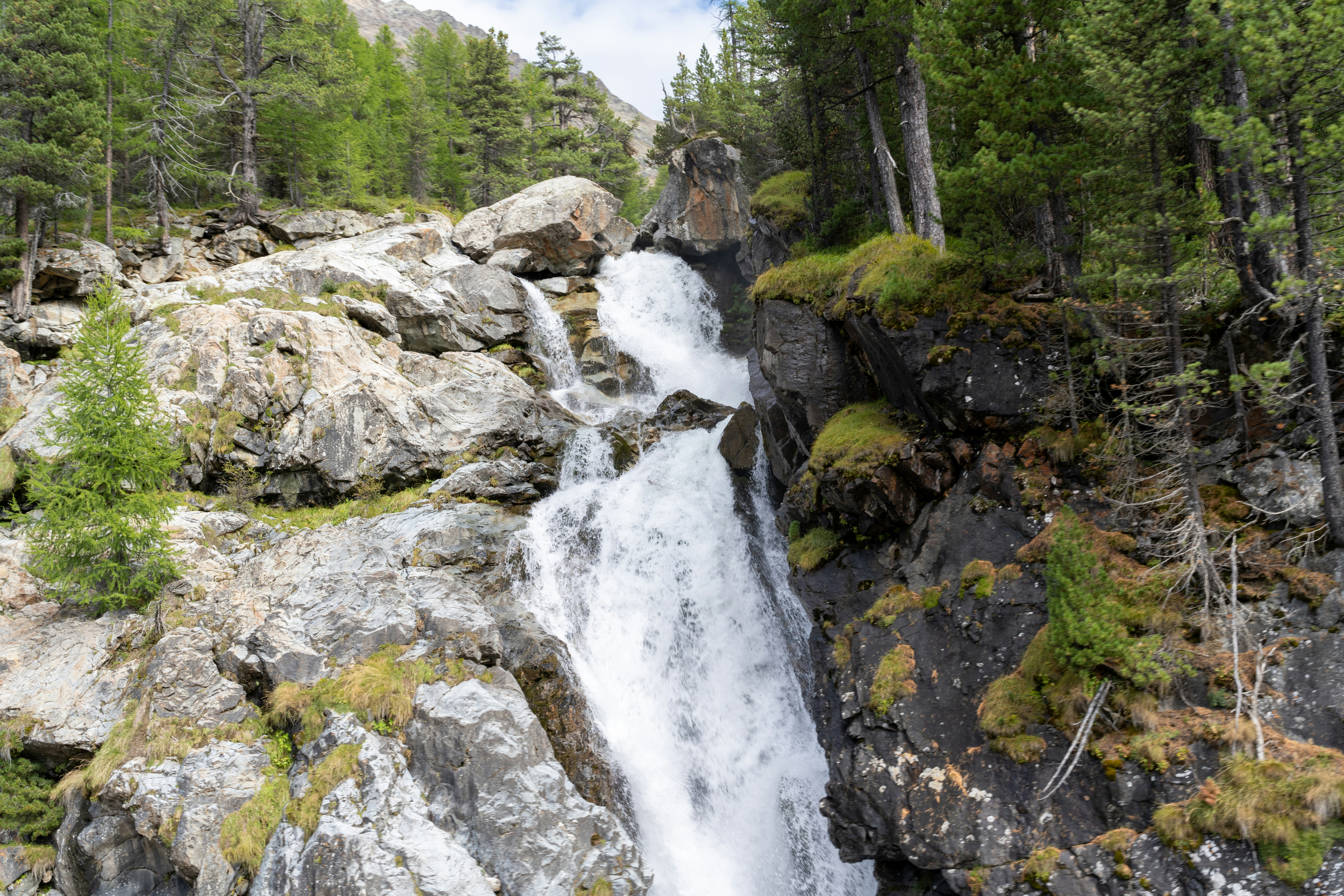 Photo by krzysztof_h