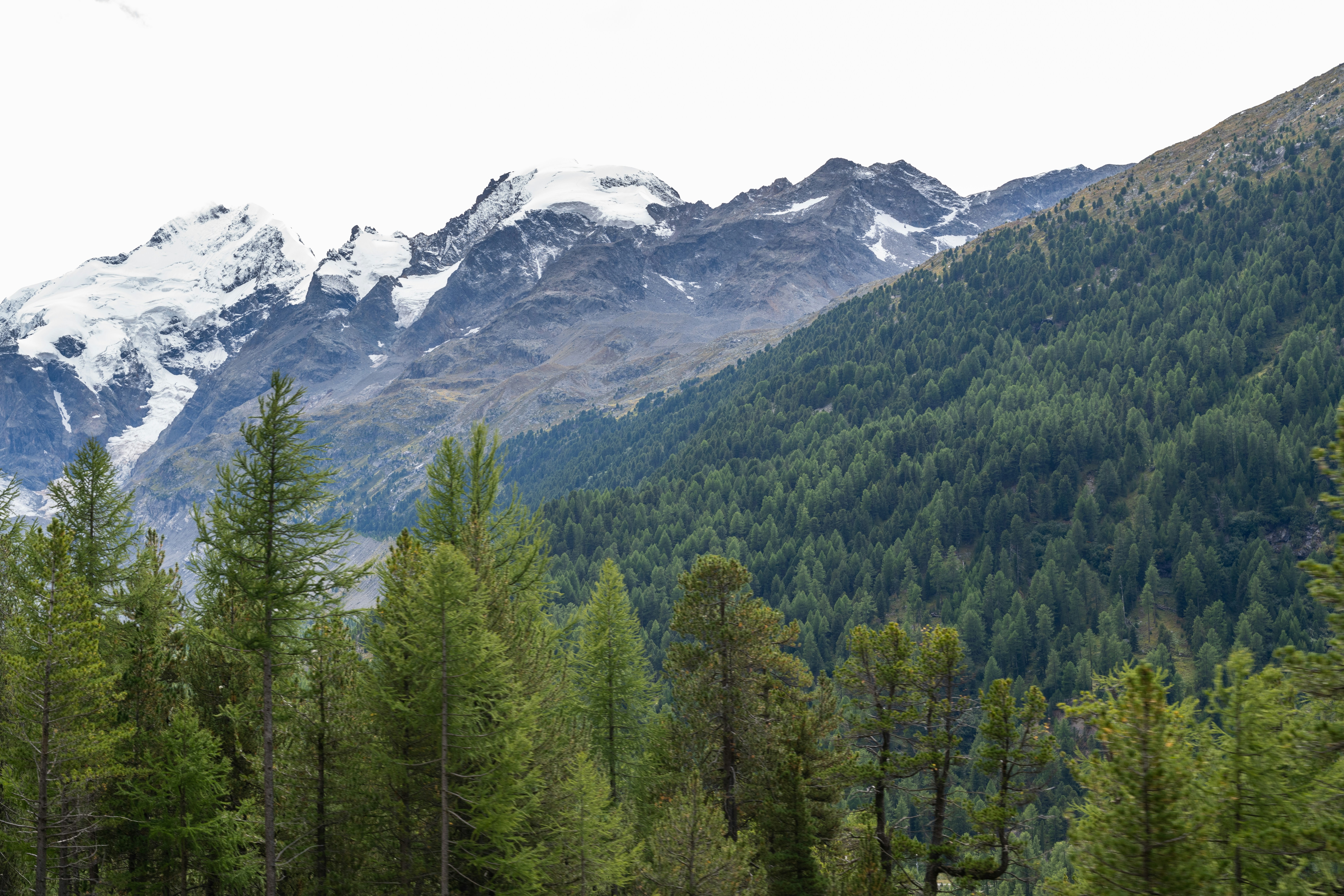 Photo by krzysztof_h