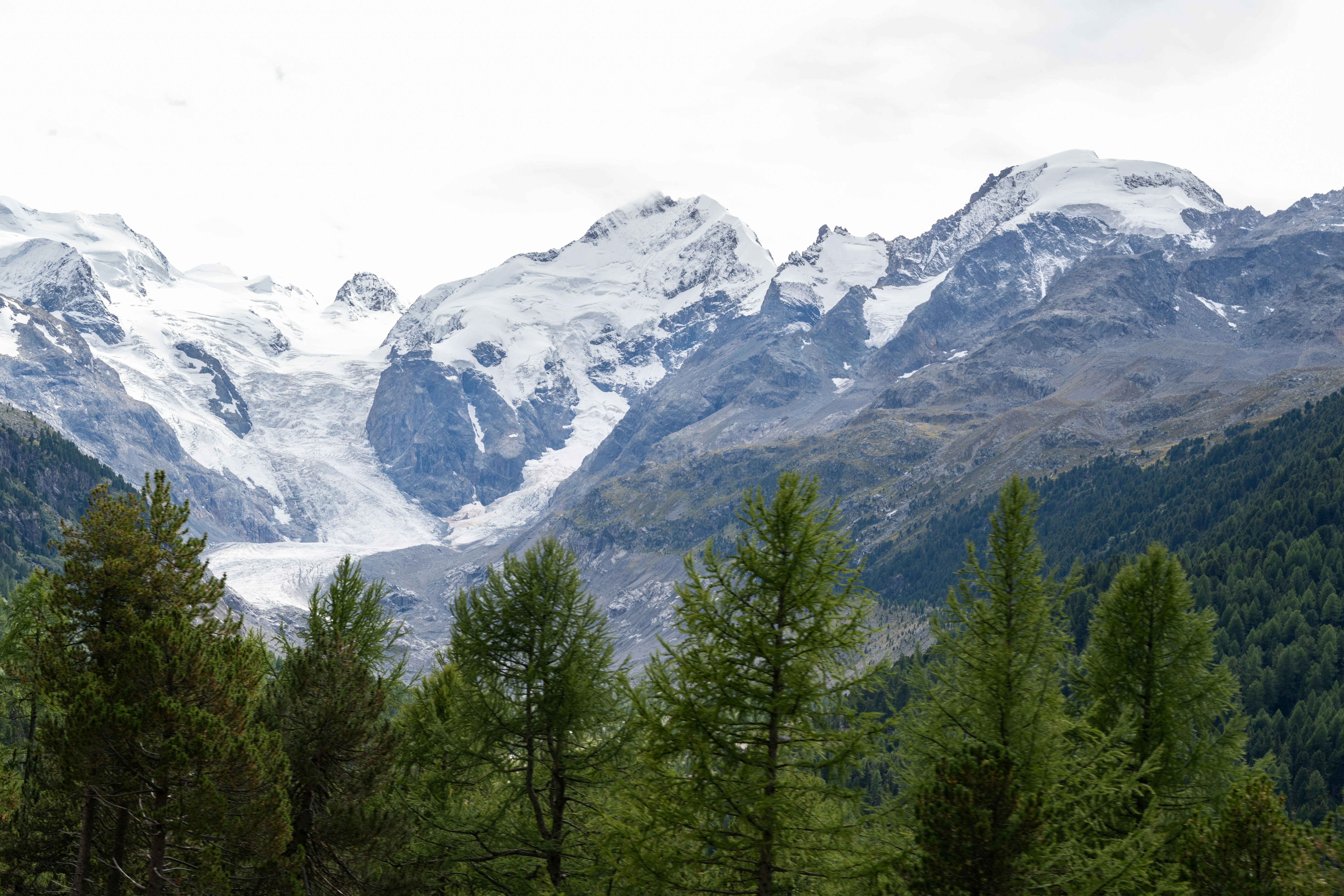 Photo by krzysztof_h