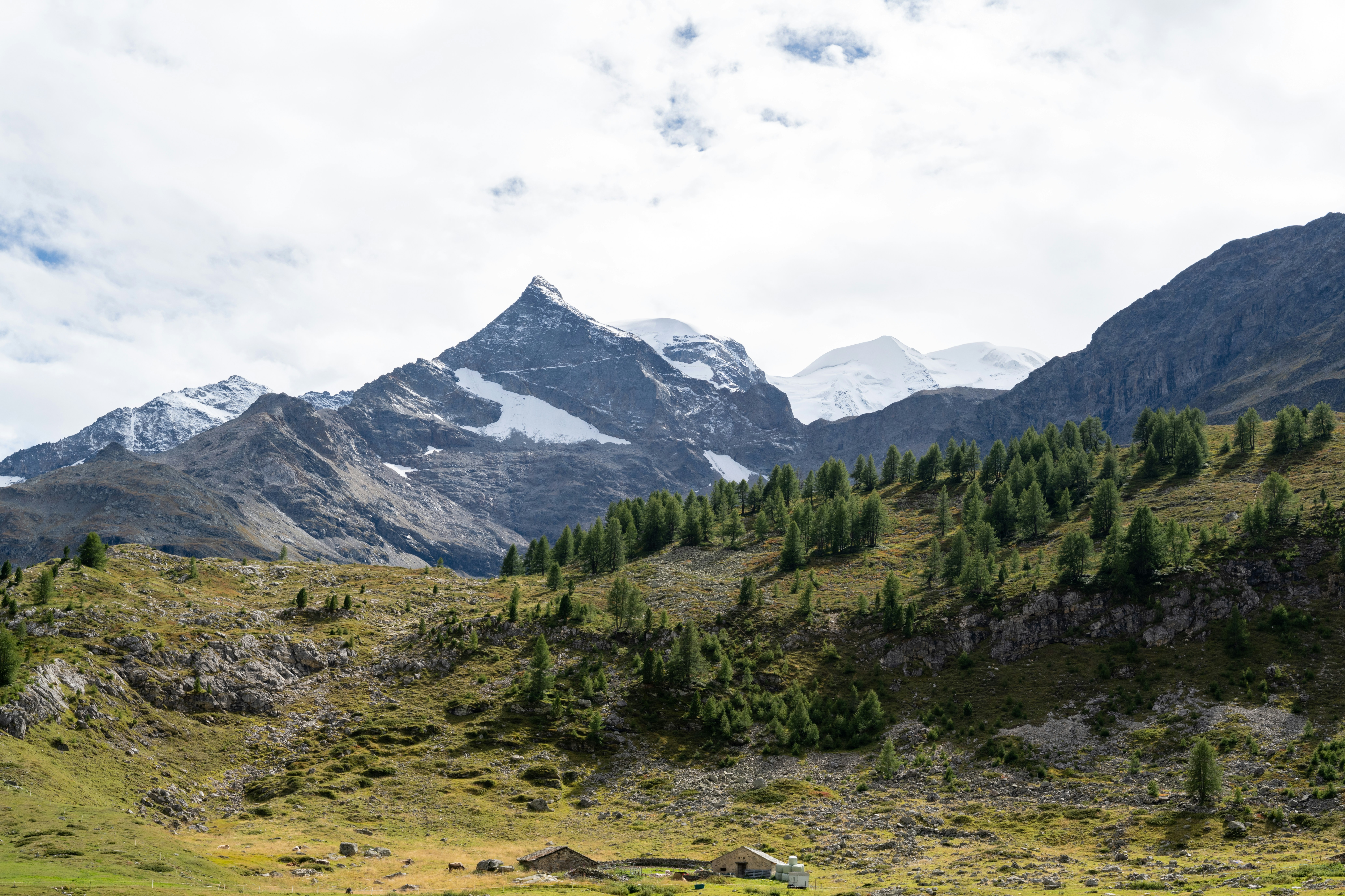 Photo by krzysztof_h