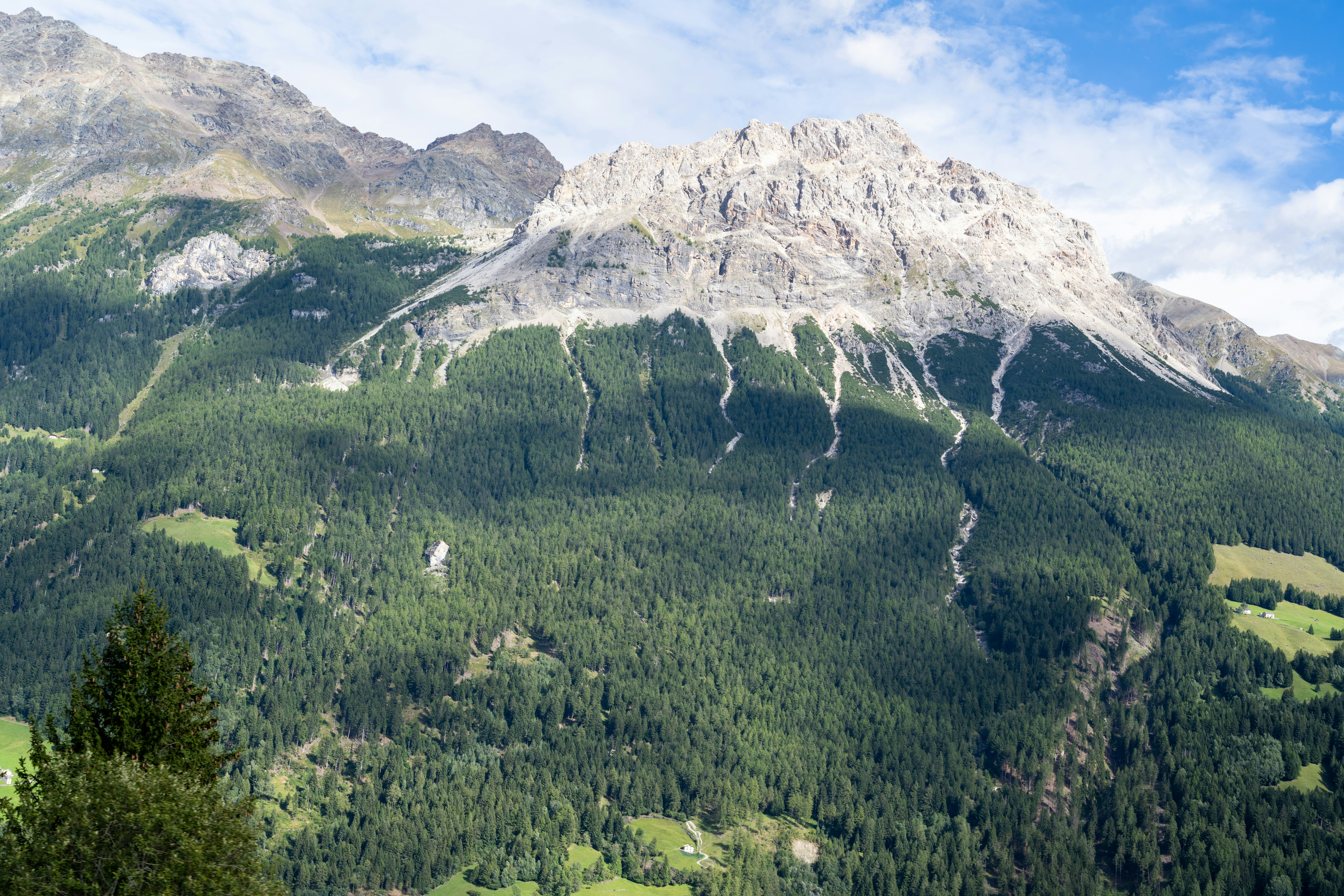 Photo by krzysztof_h