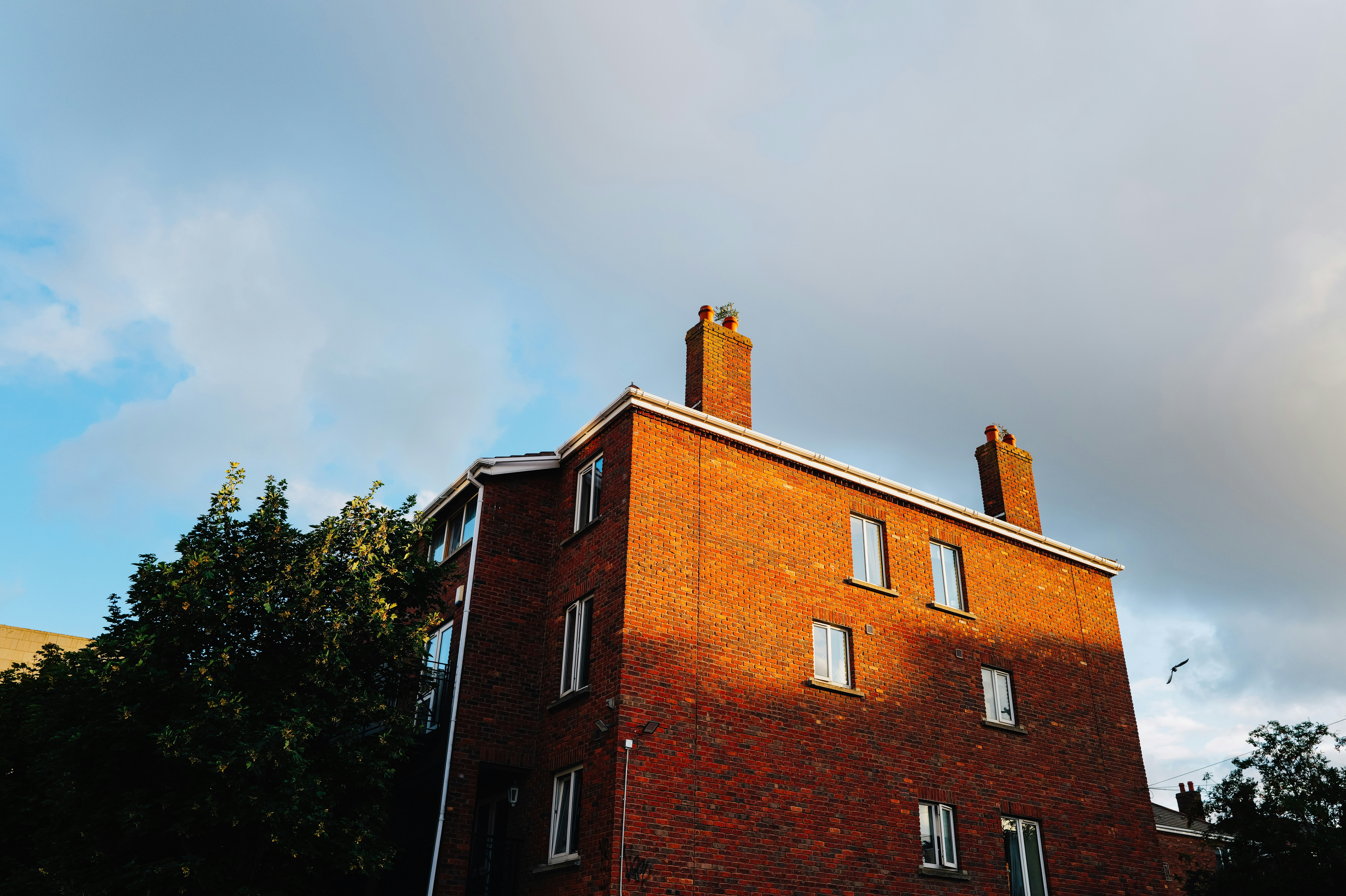 Photo by adrienolichon