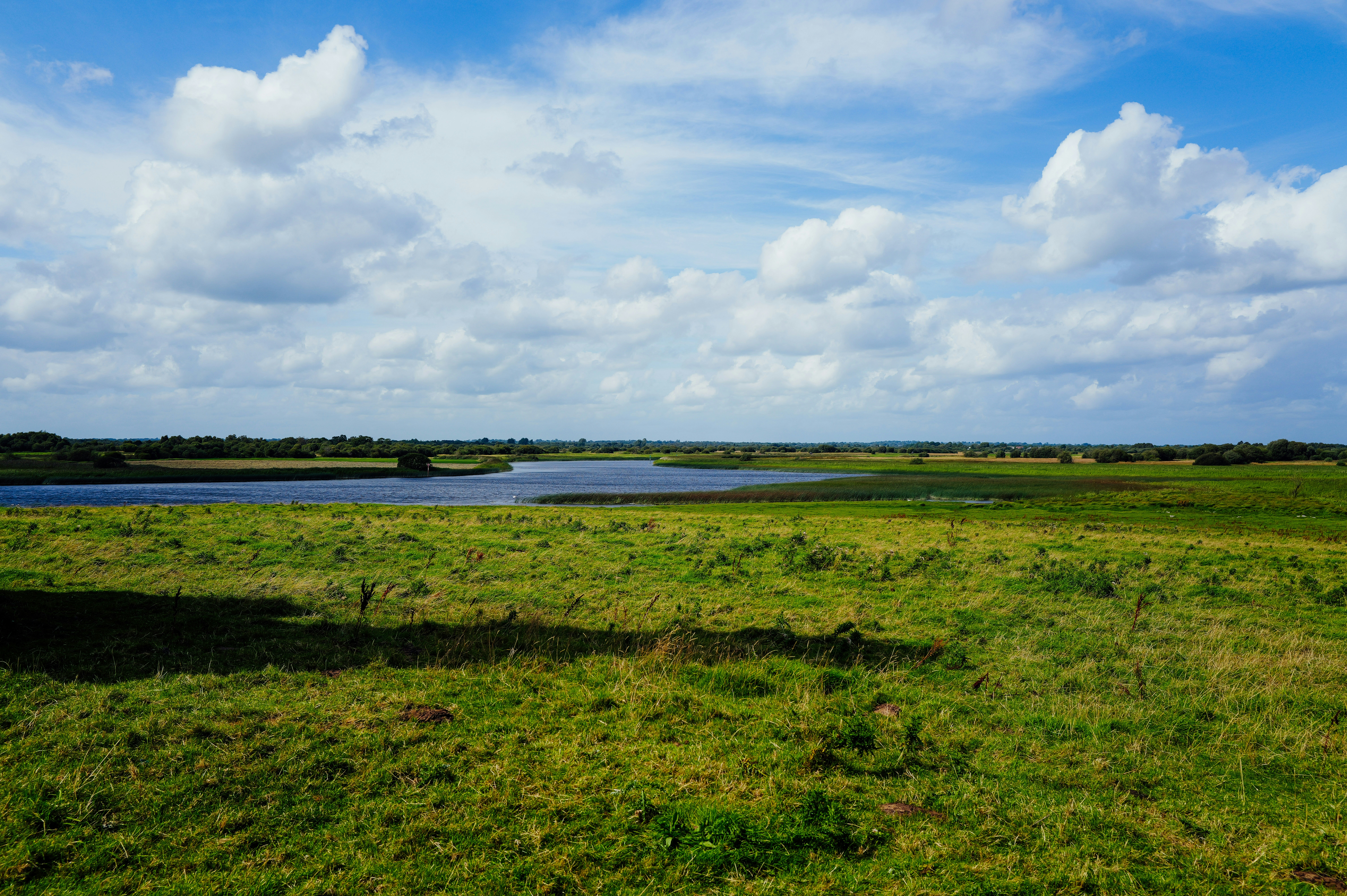 Photo by adrienolichon