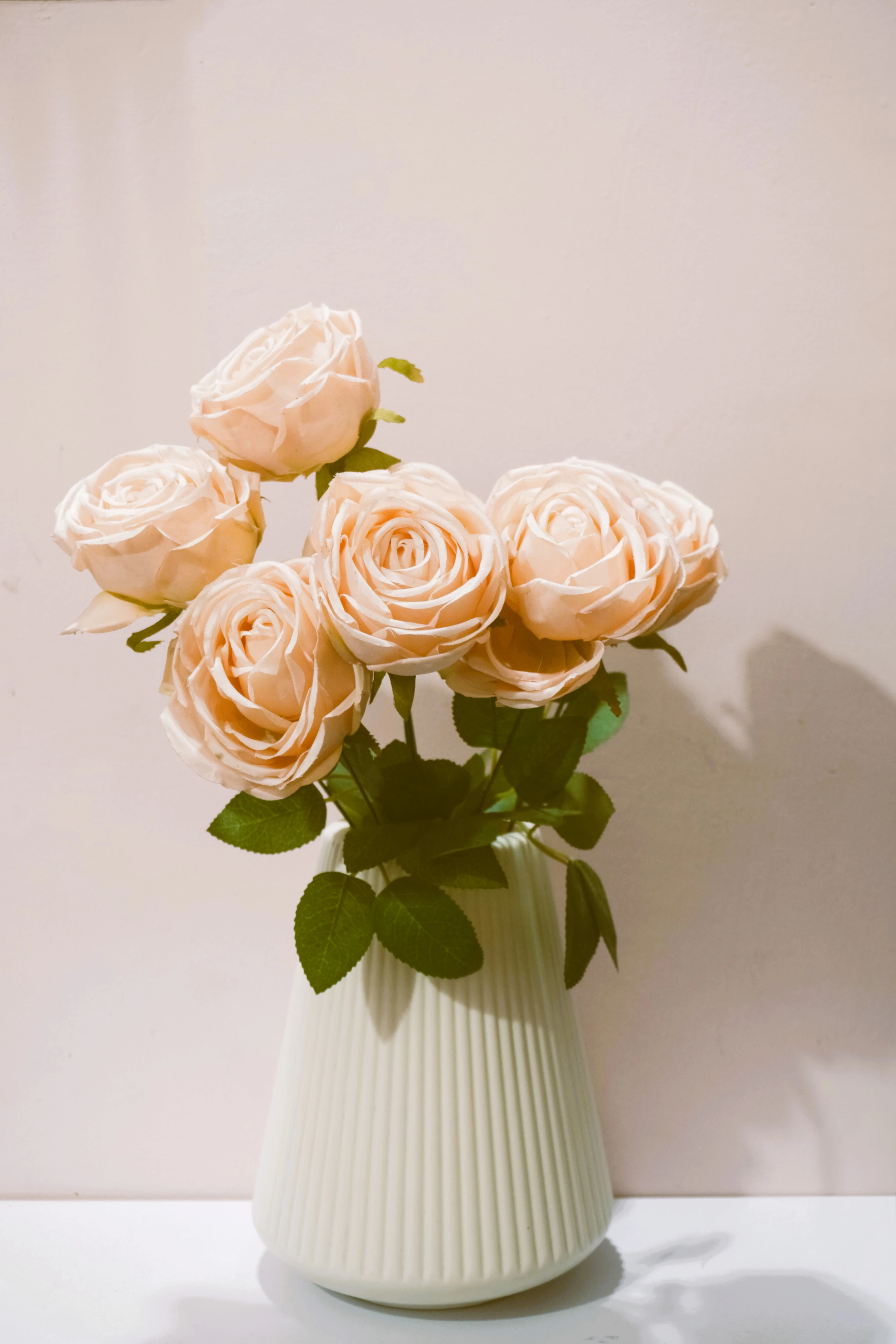 Blush Rose Vase