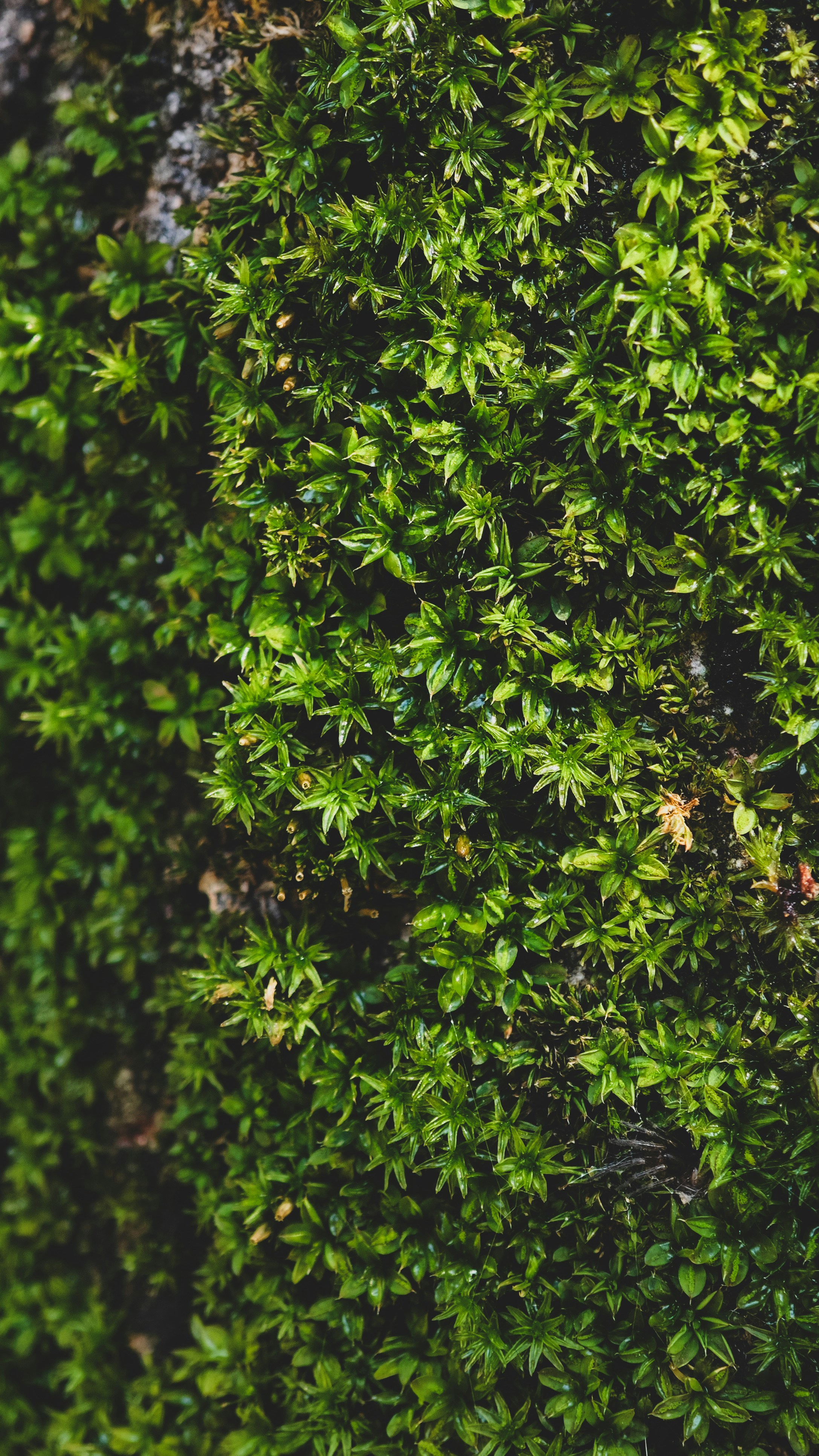 Photo by varvarushka89807499816_