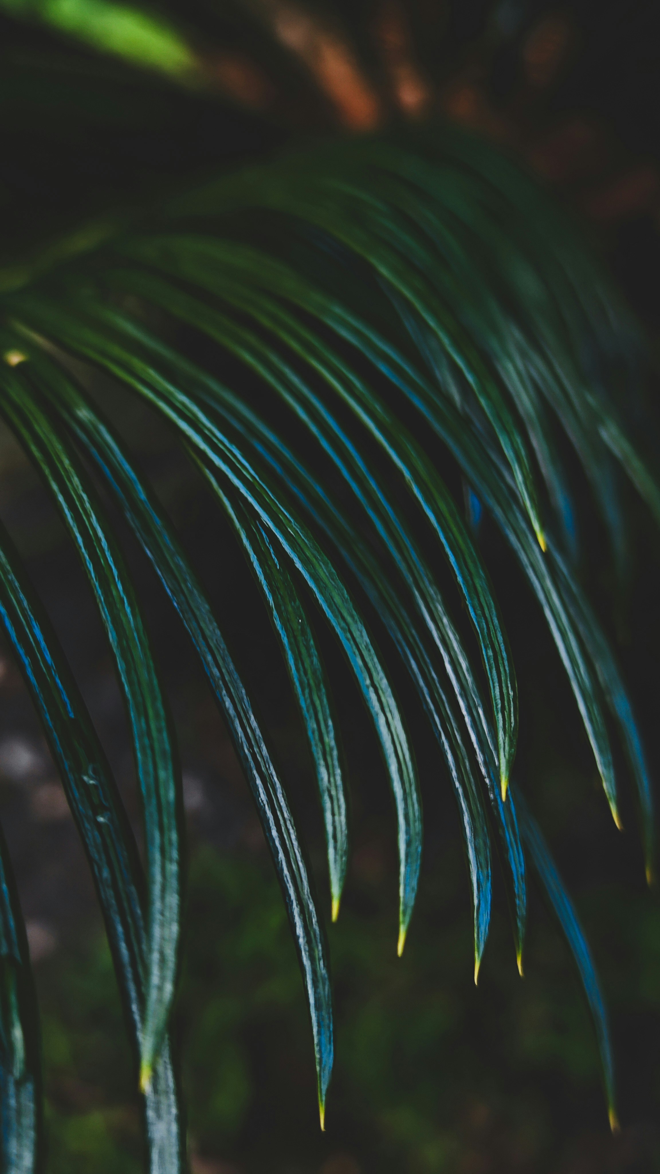 Photo by varvarushka89807499816_