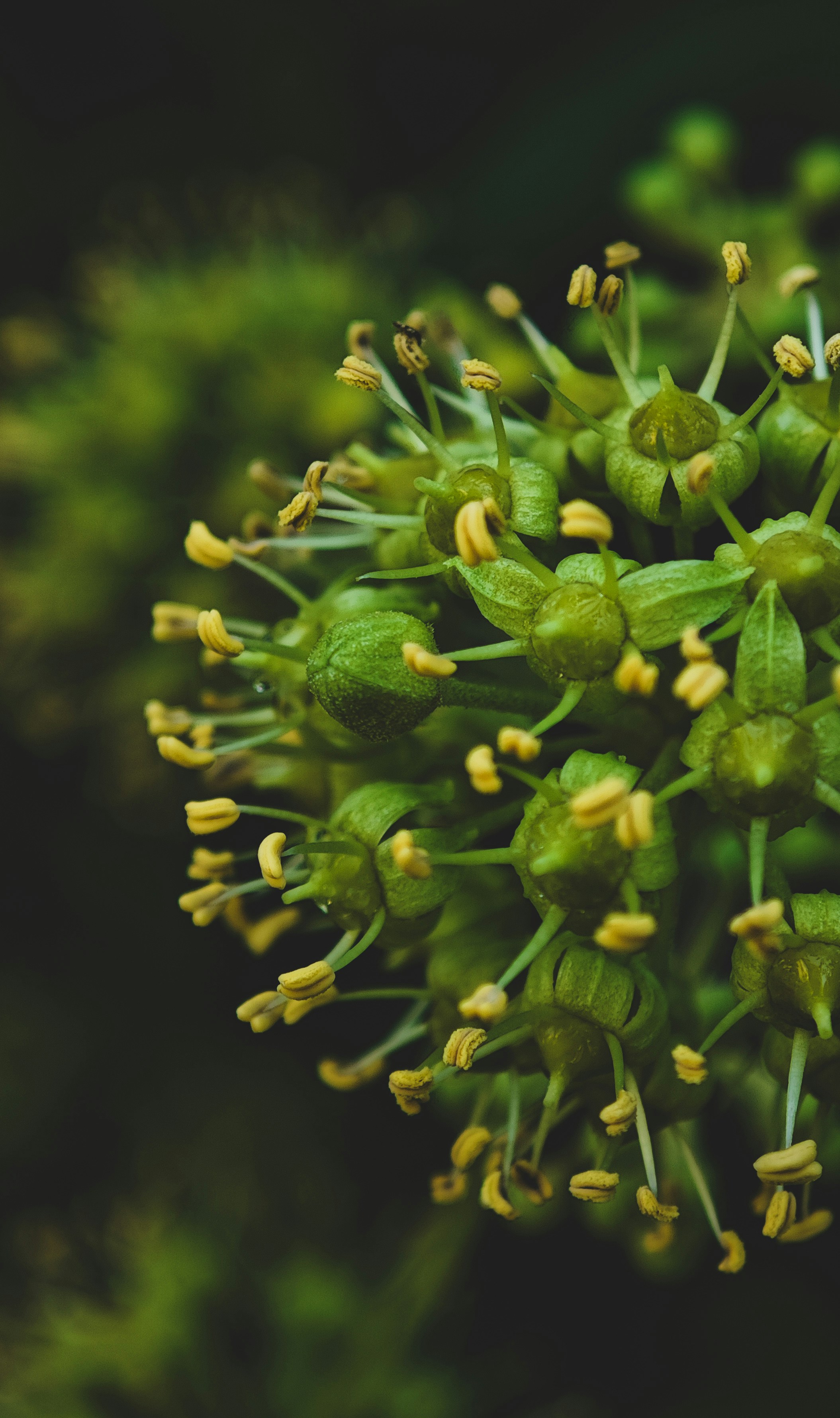 Photo by varvarushka89807499816_