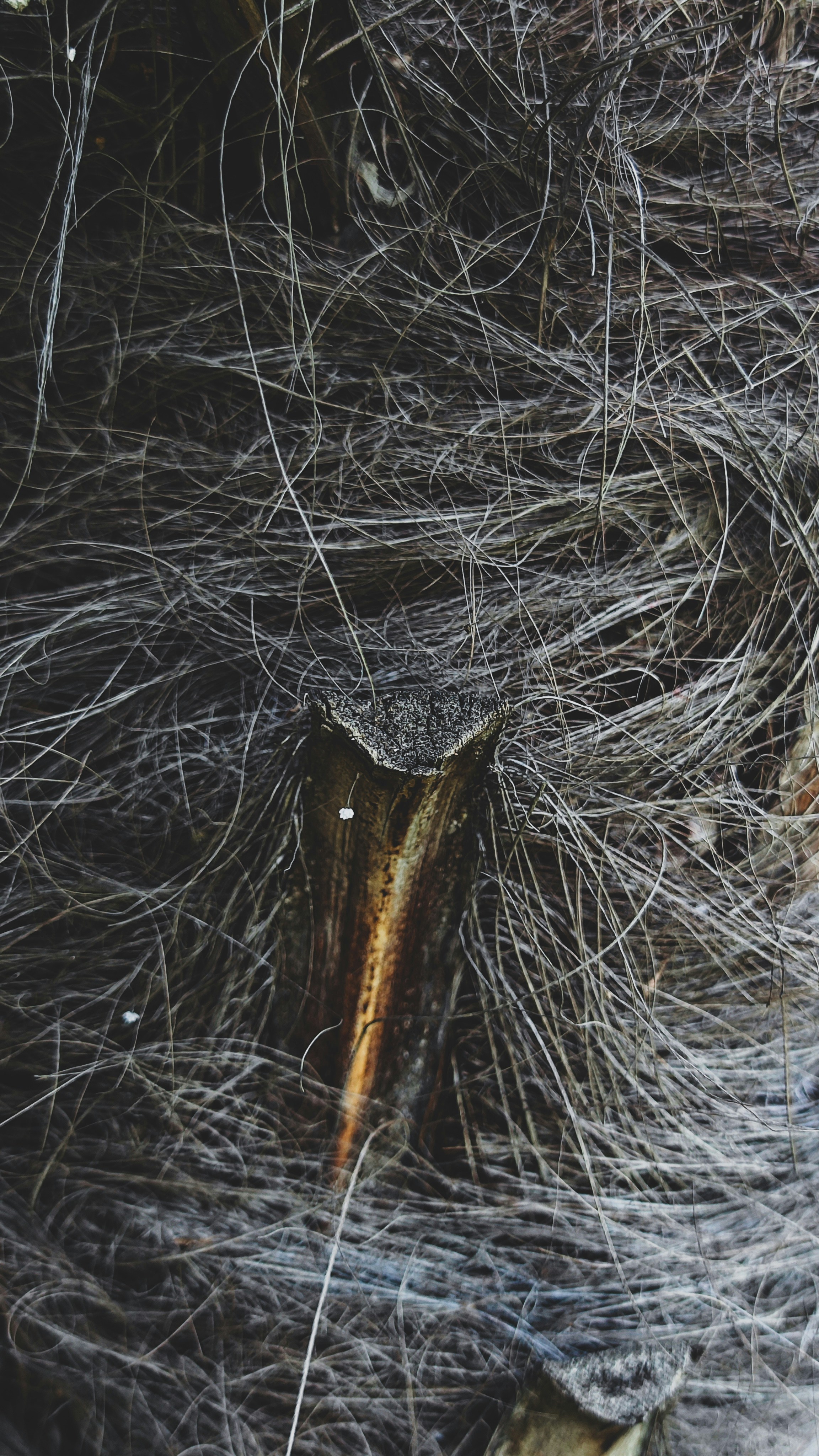 Photo by varvarushka89807499816_