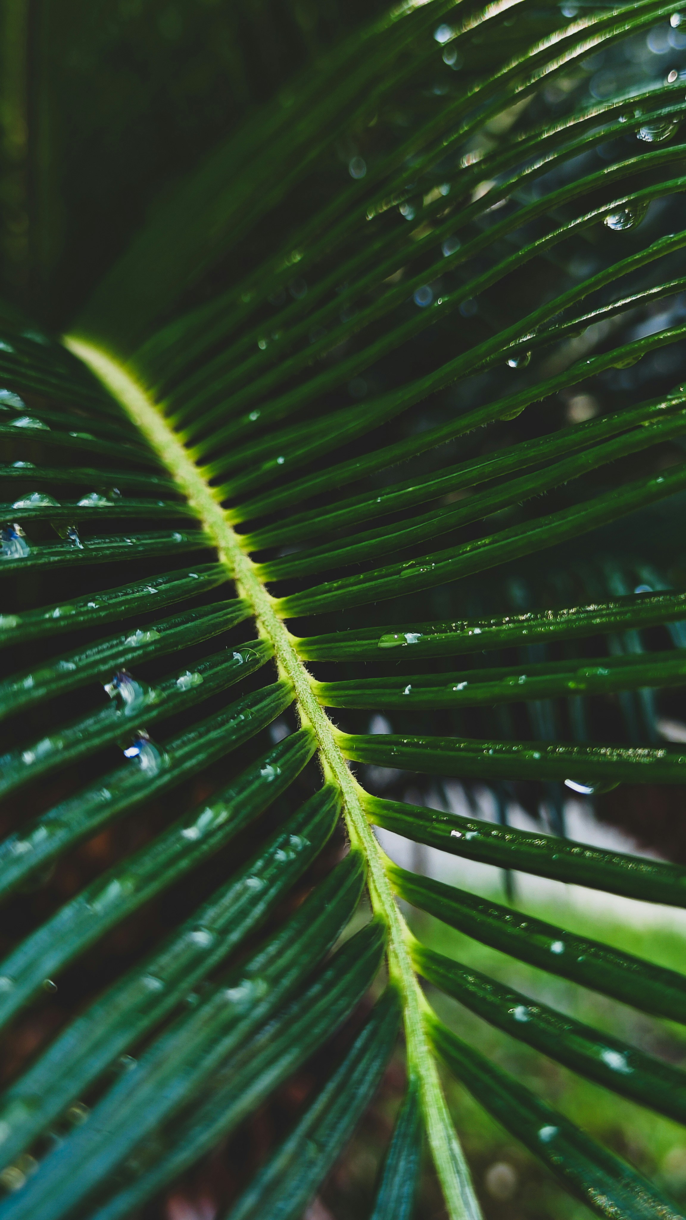 Photo by varvarushka89807499816_