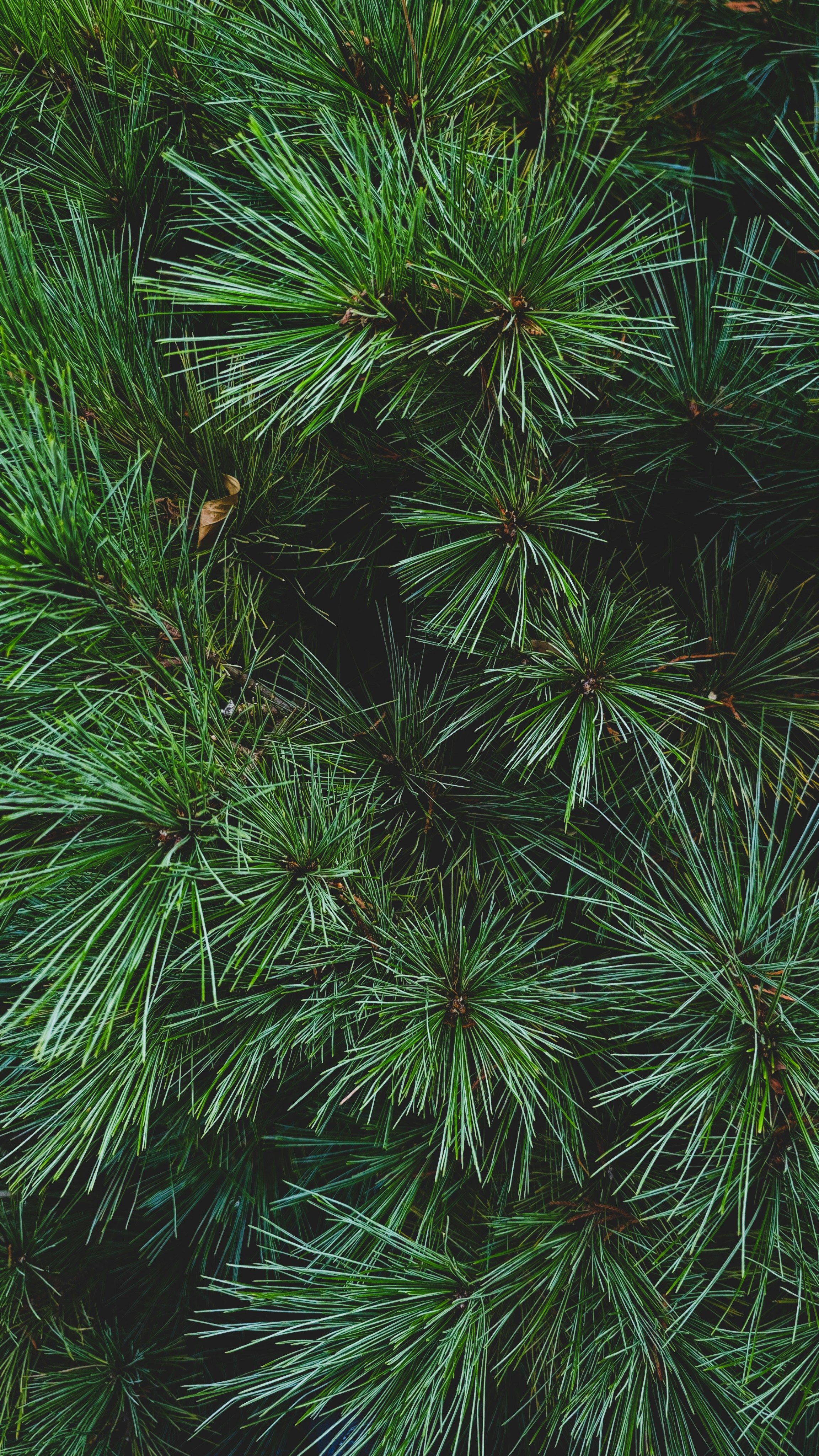 Photo by varvarushka89807499816_