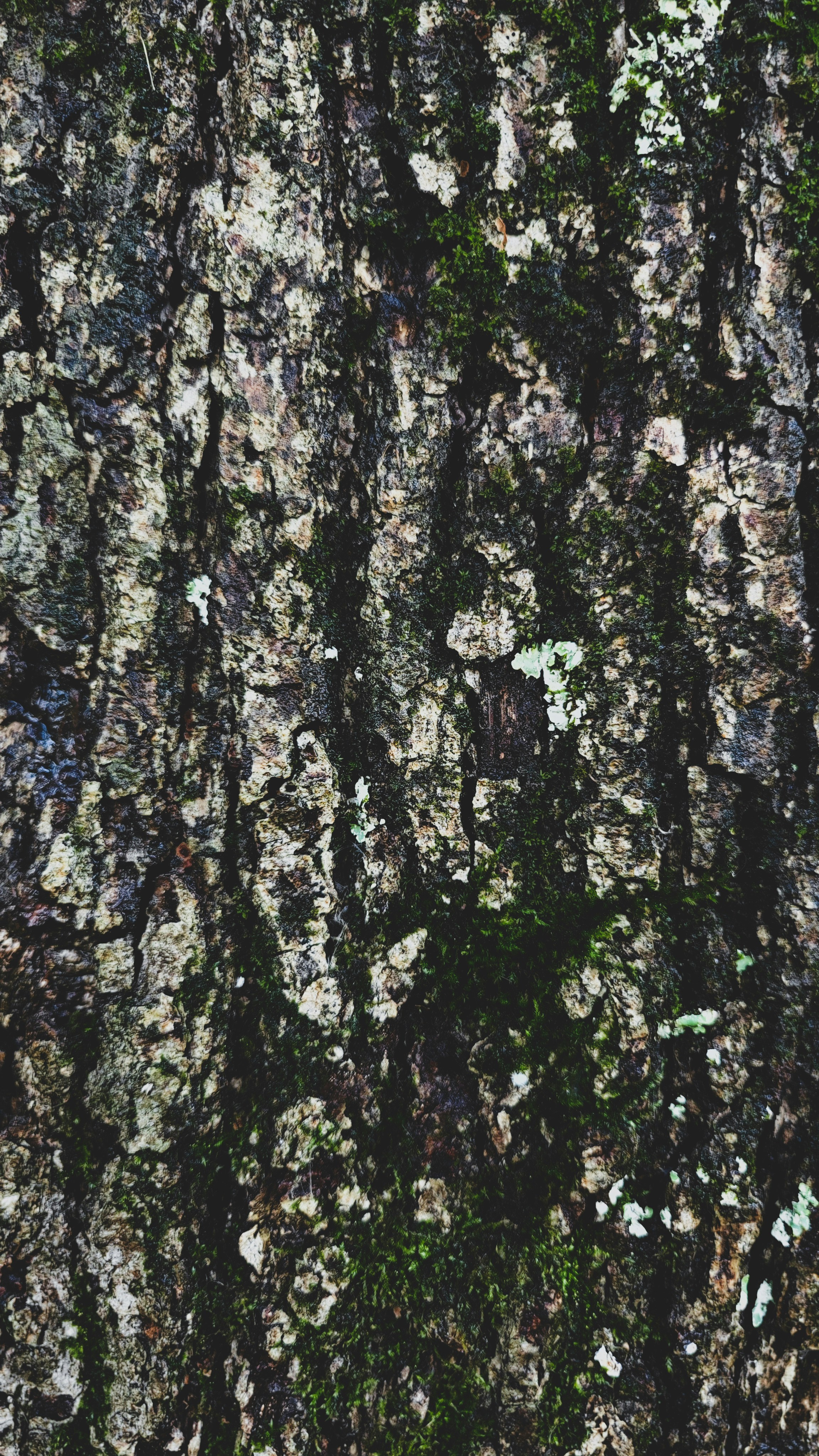 Photo by varvarushka89807499816_