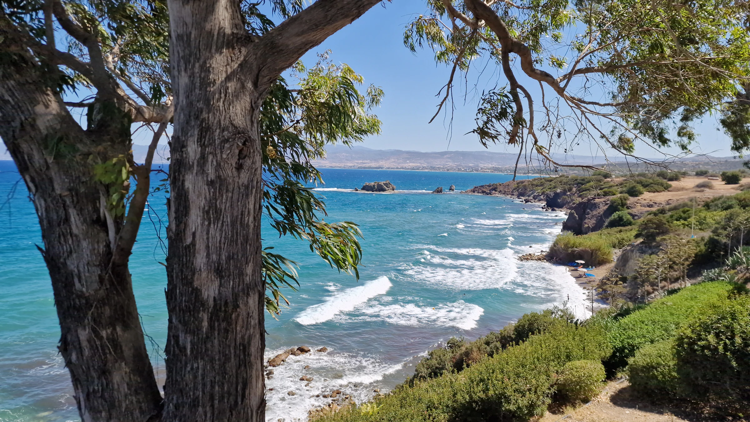 A eucalyptus-framed view over turquoise water to a distant headland on the Cyprus coast