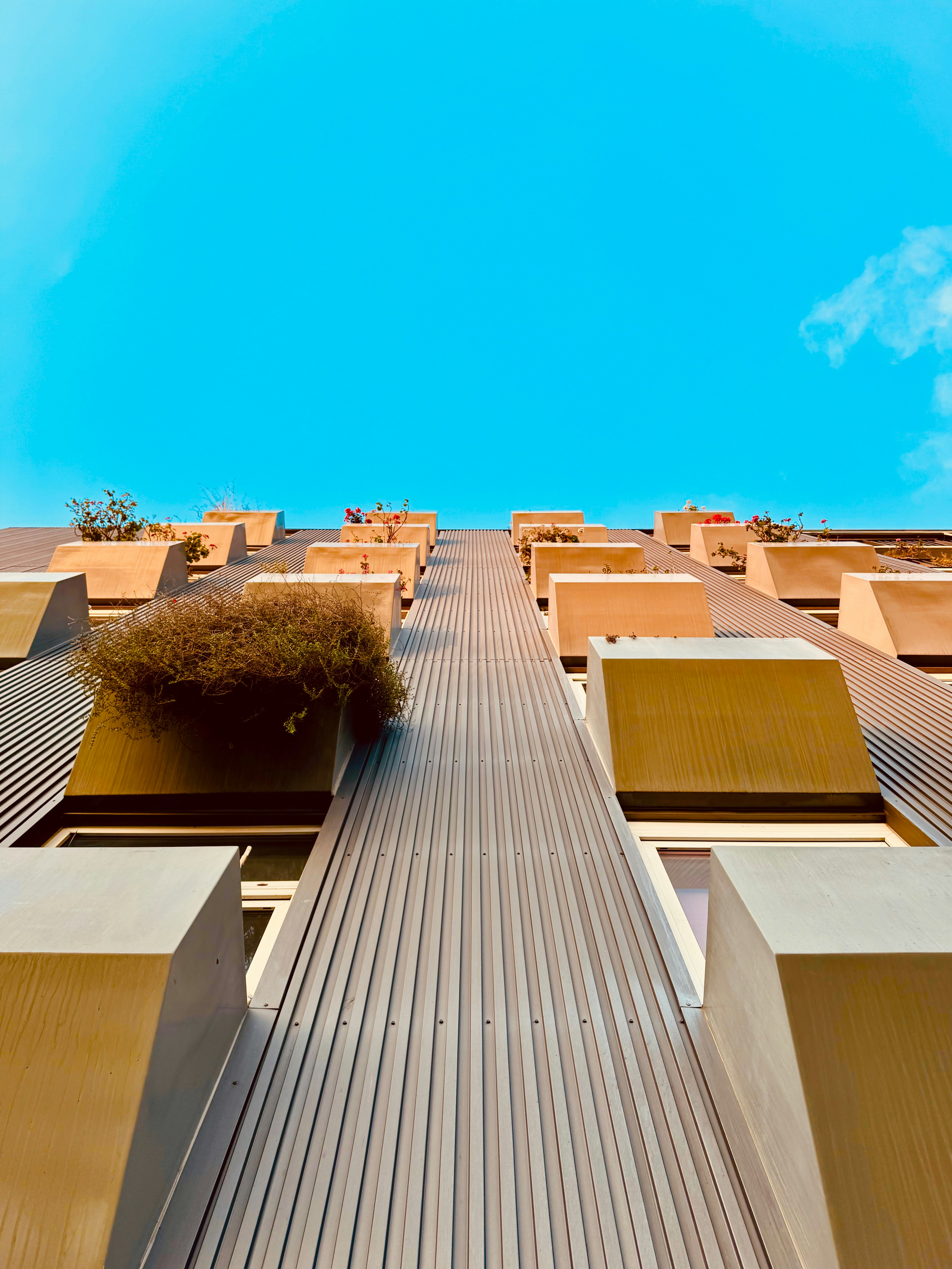 Photo by giannidonato