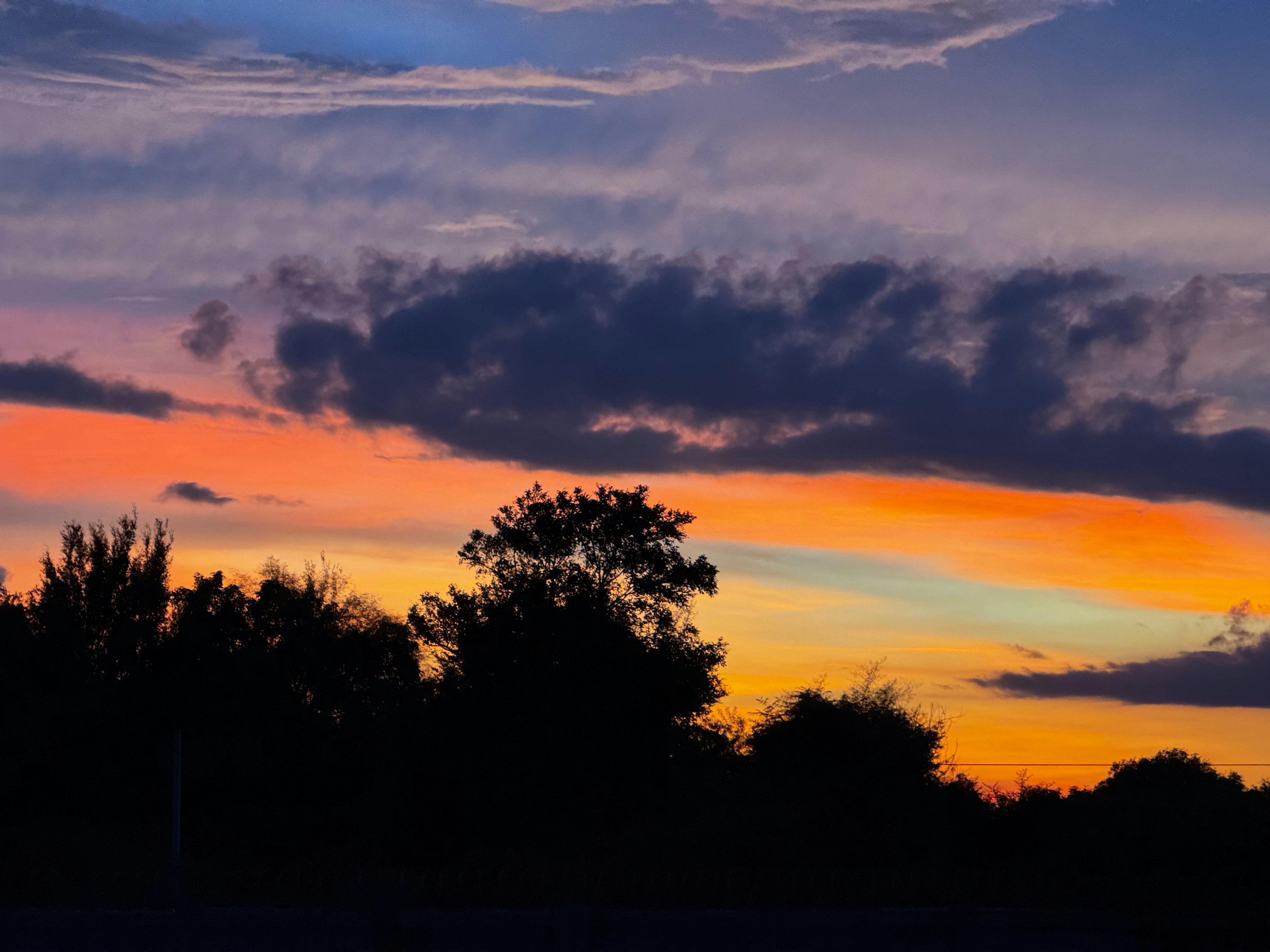 Photo by pineapplexpizza