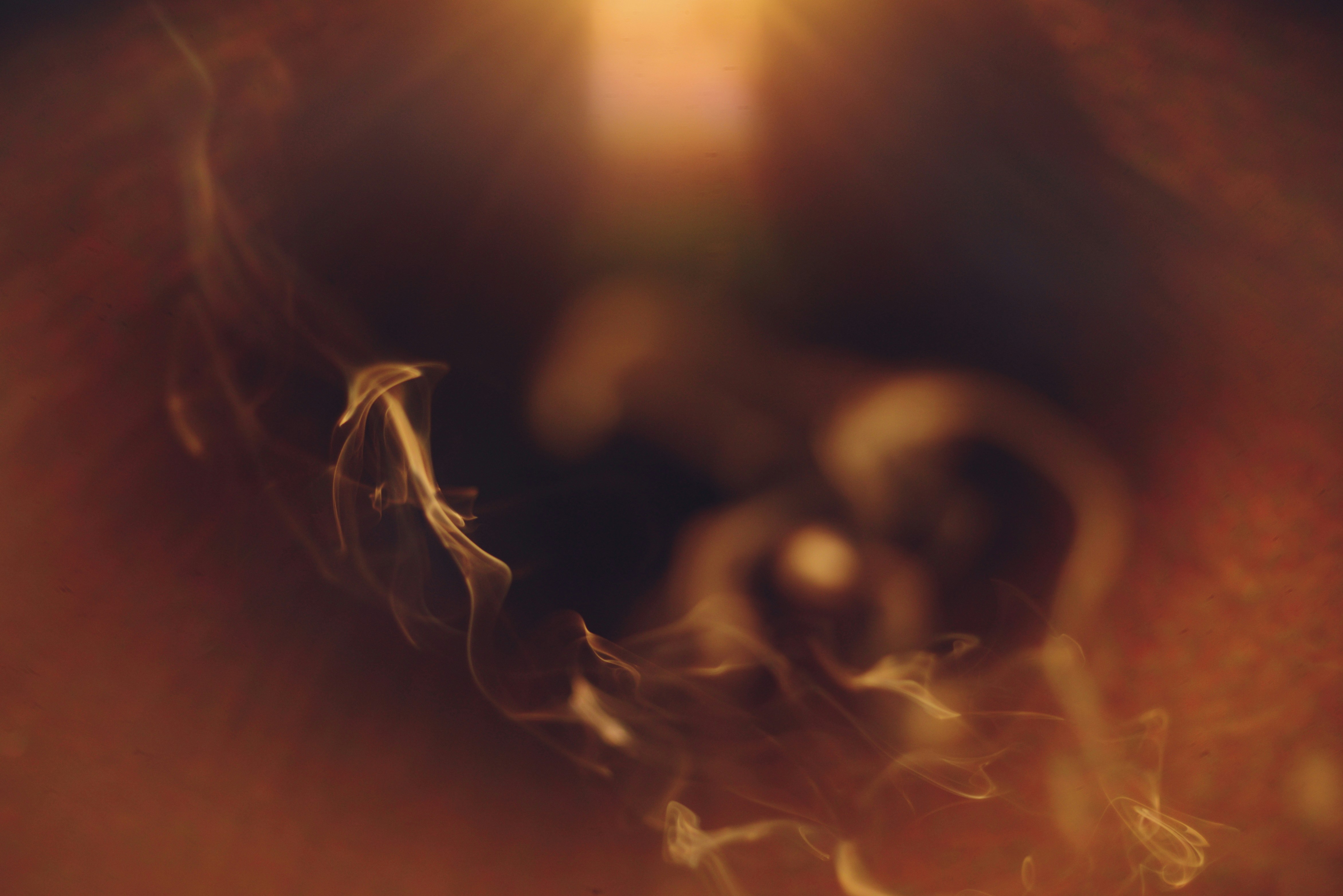 Photo by cherstve_pechivo