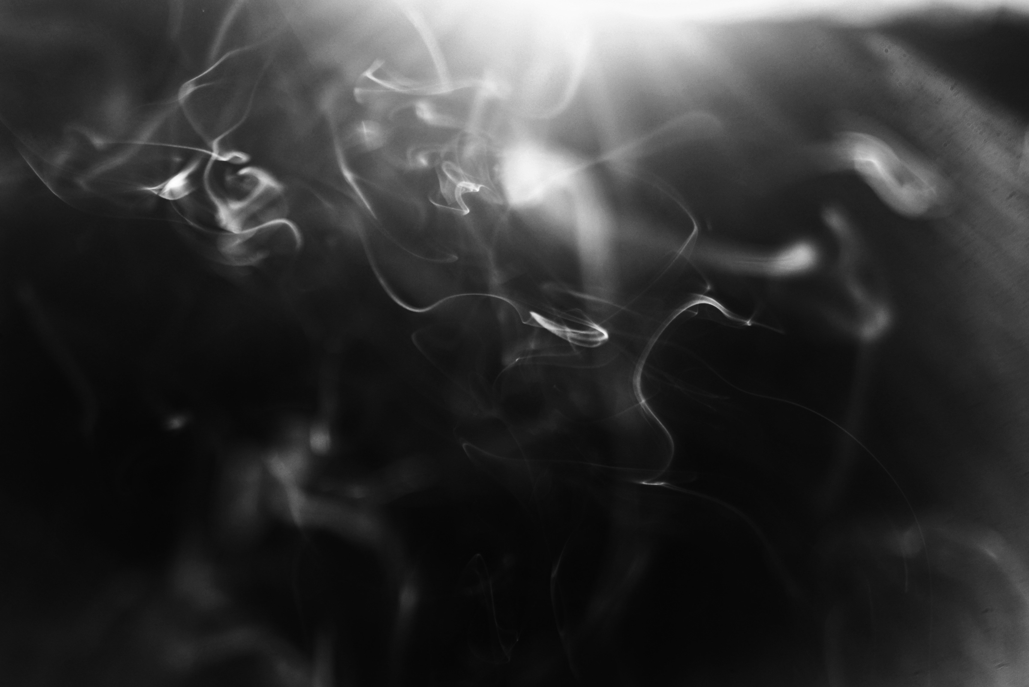 Photo by cherstve_pechivo